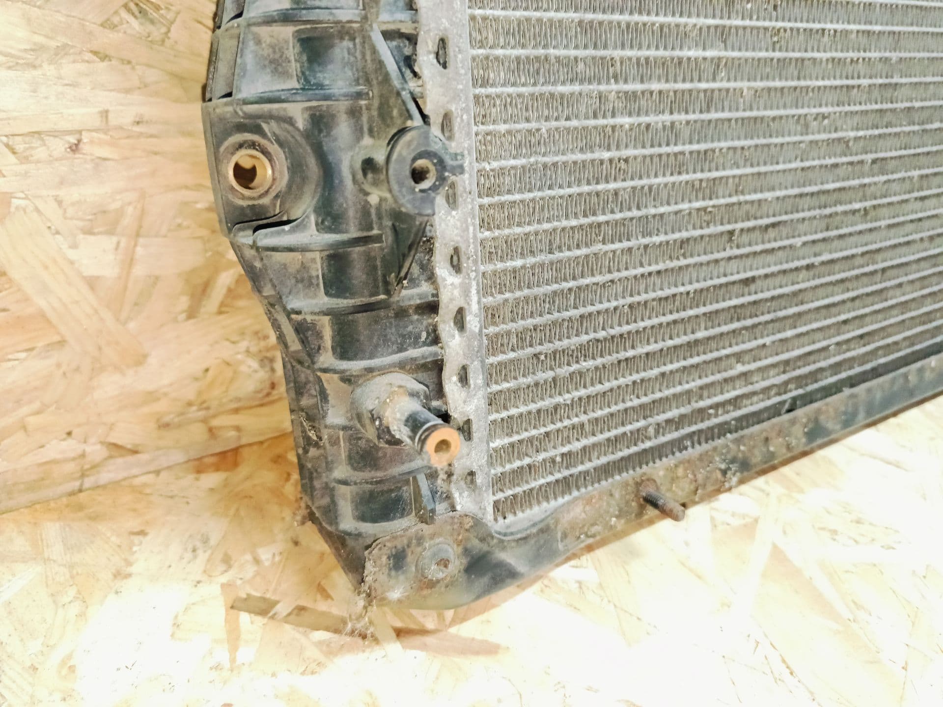 photo-3