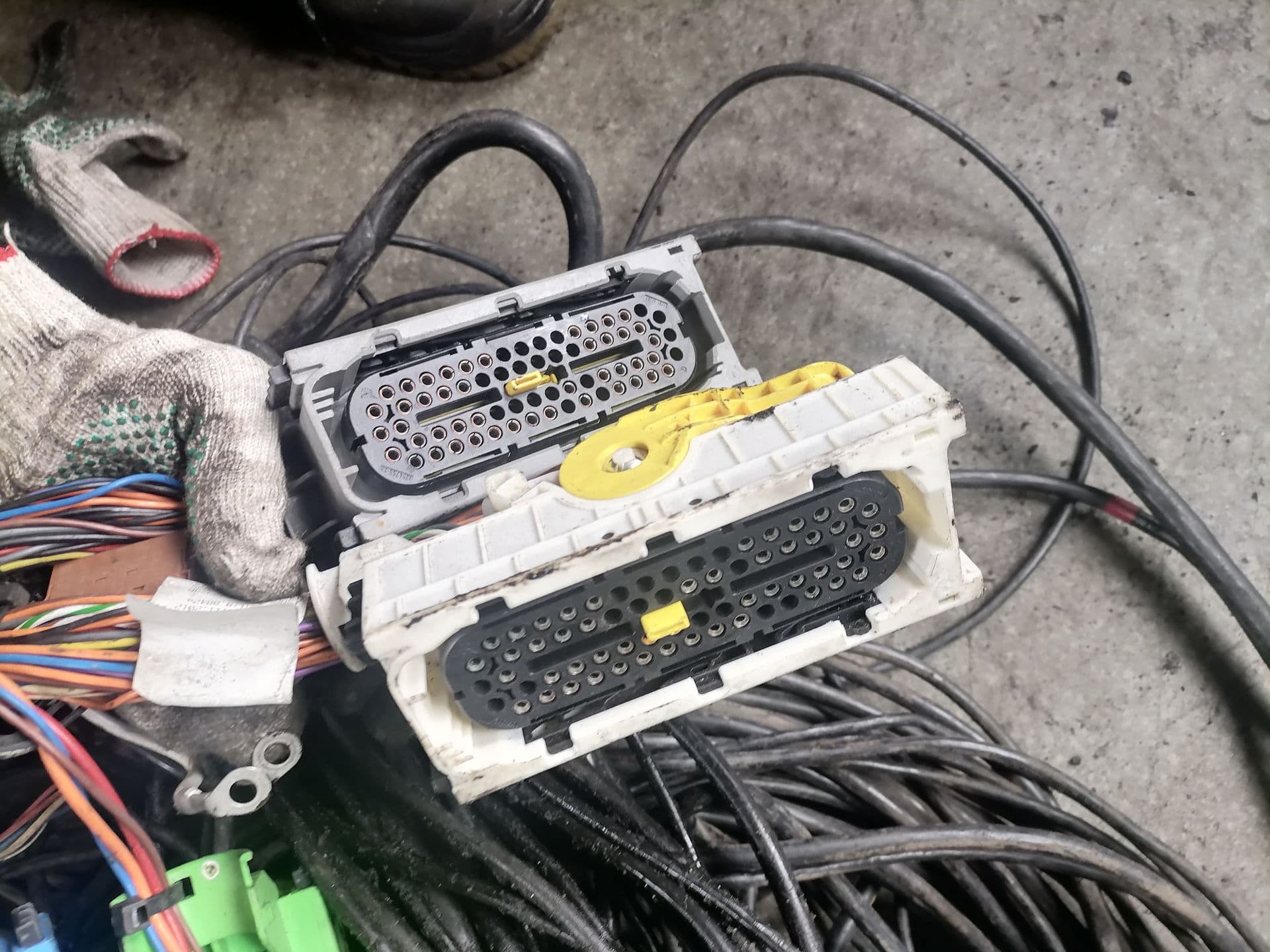 photo-1
