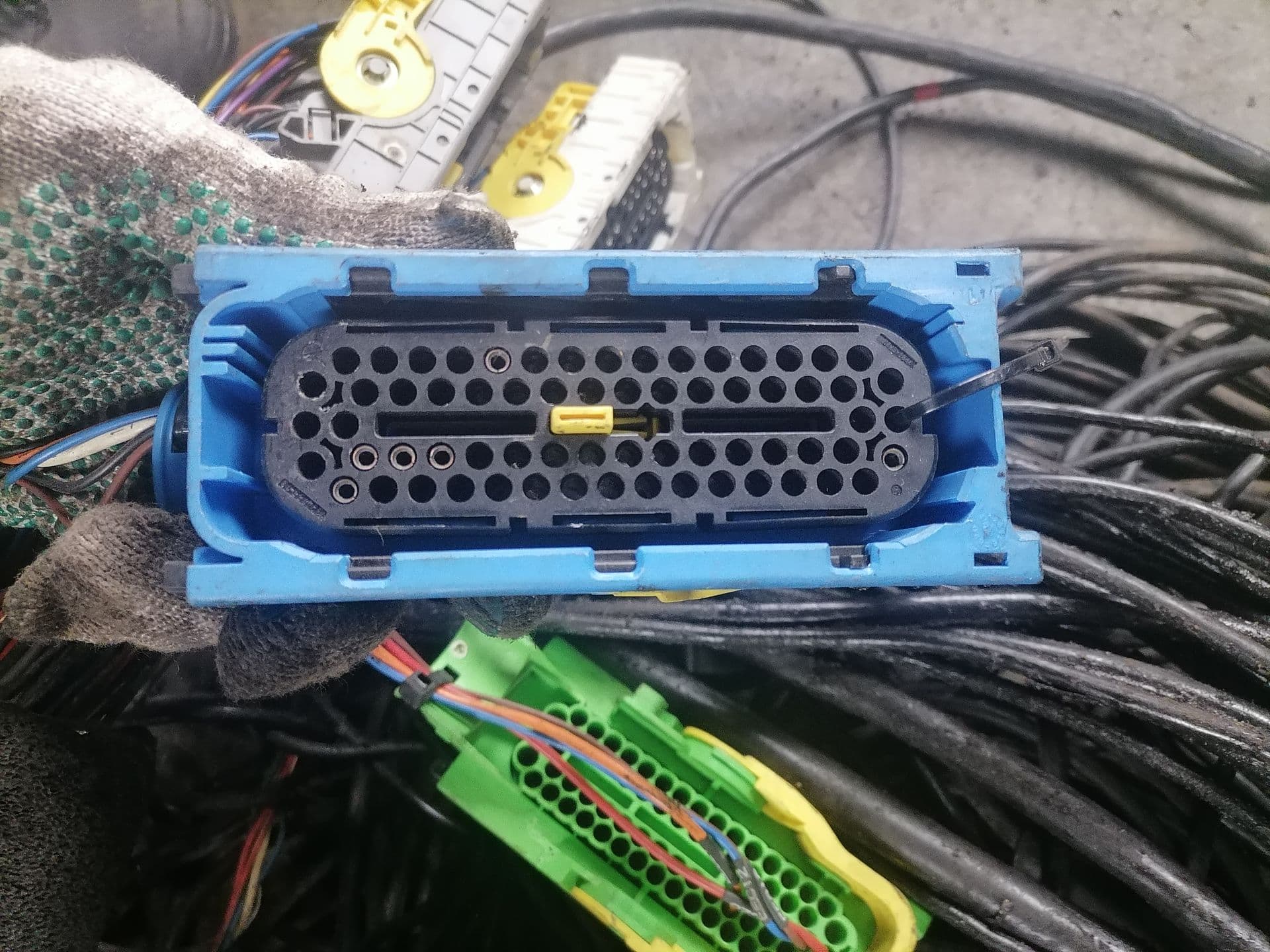 photo-3