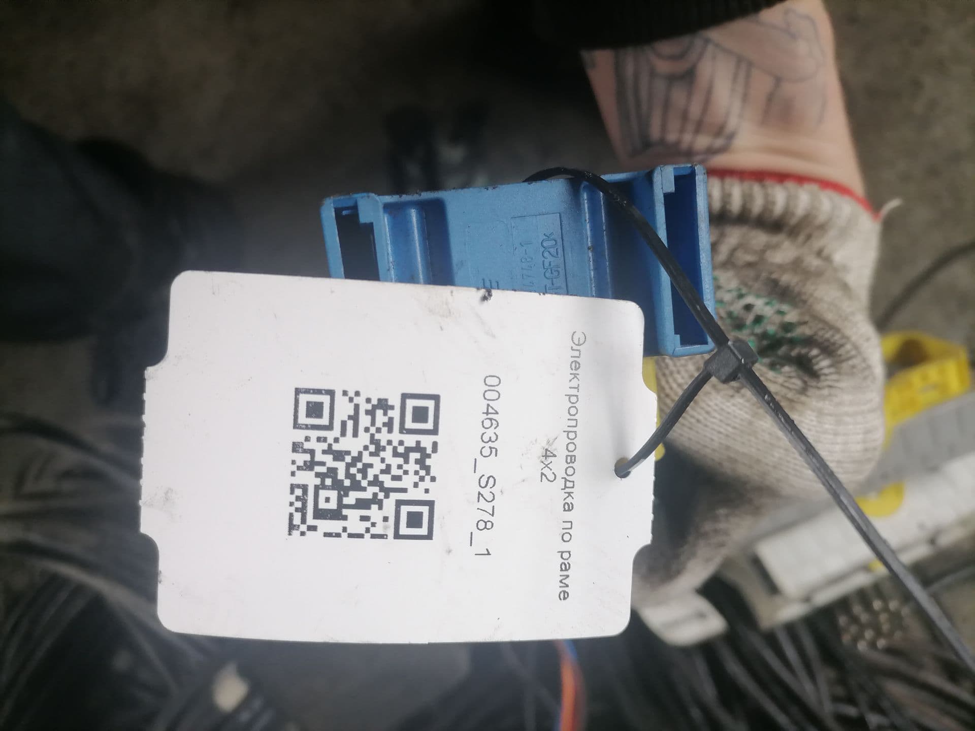 photo-5