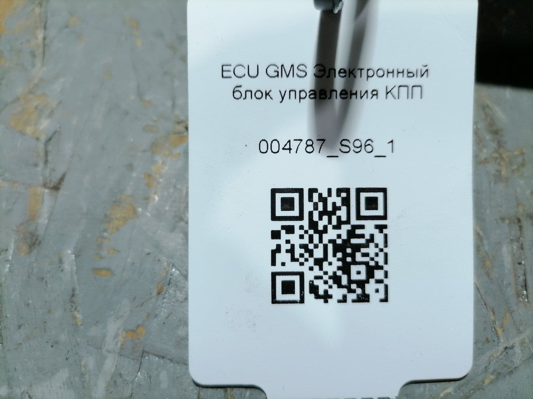 photo-1