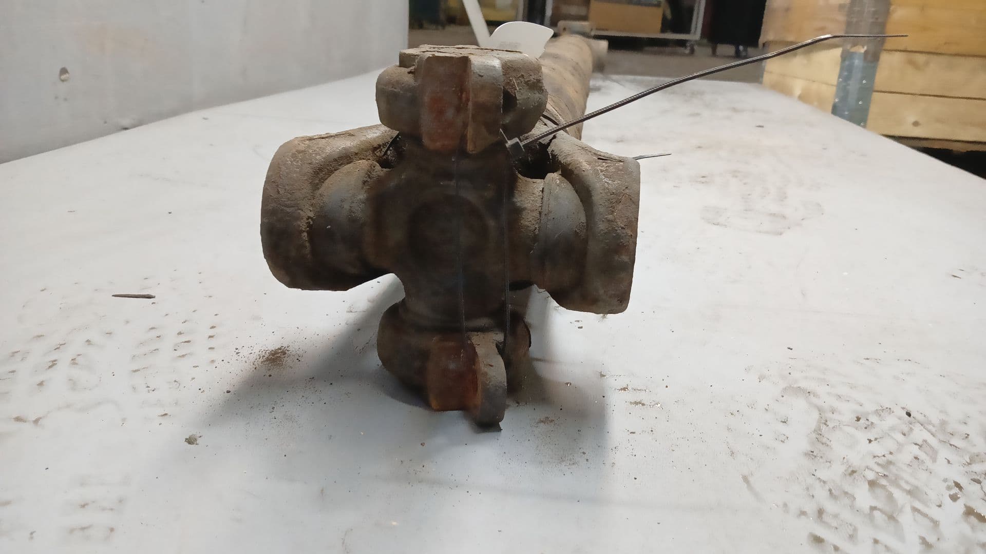 photo-1