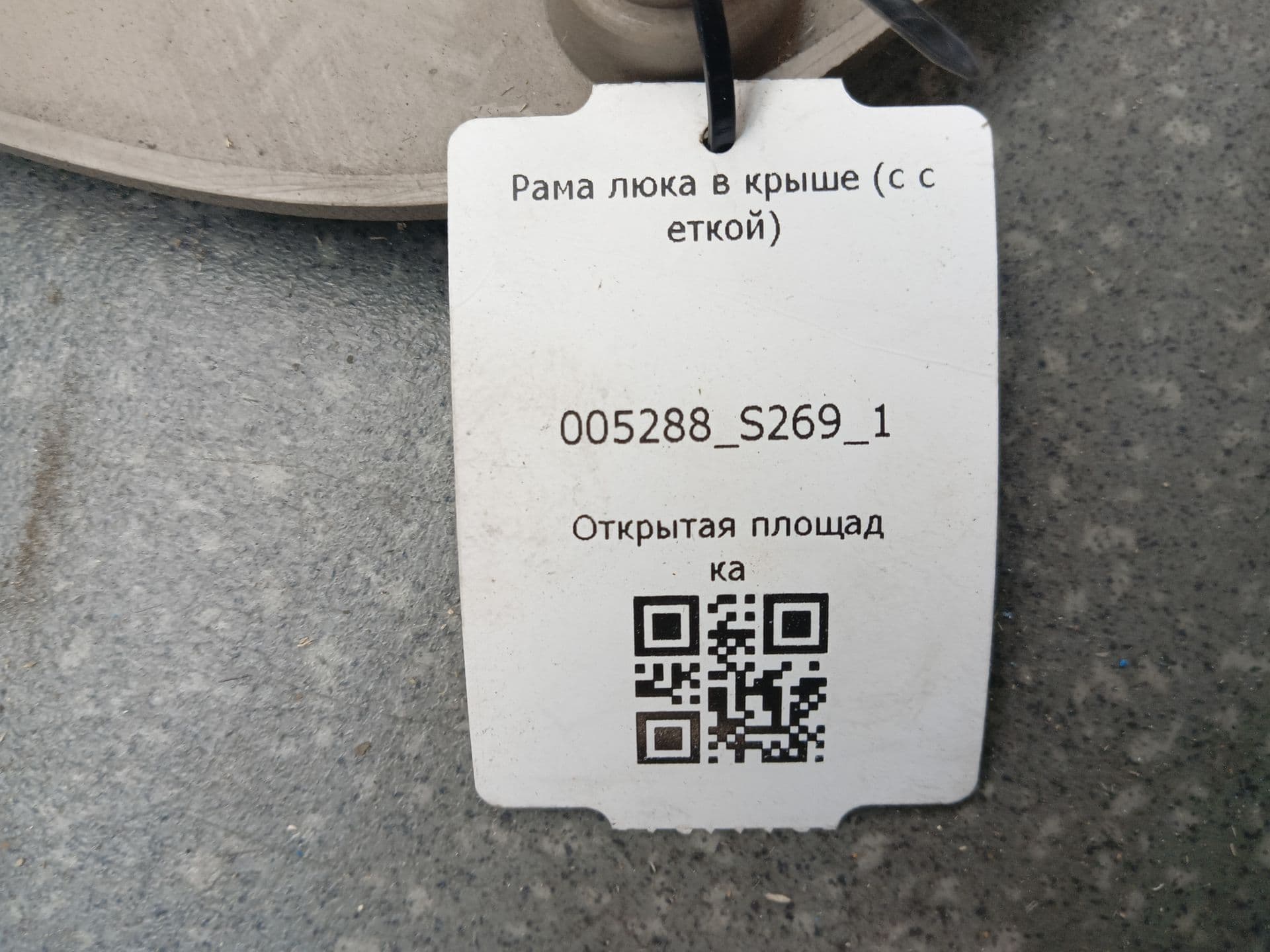 photo-1