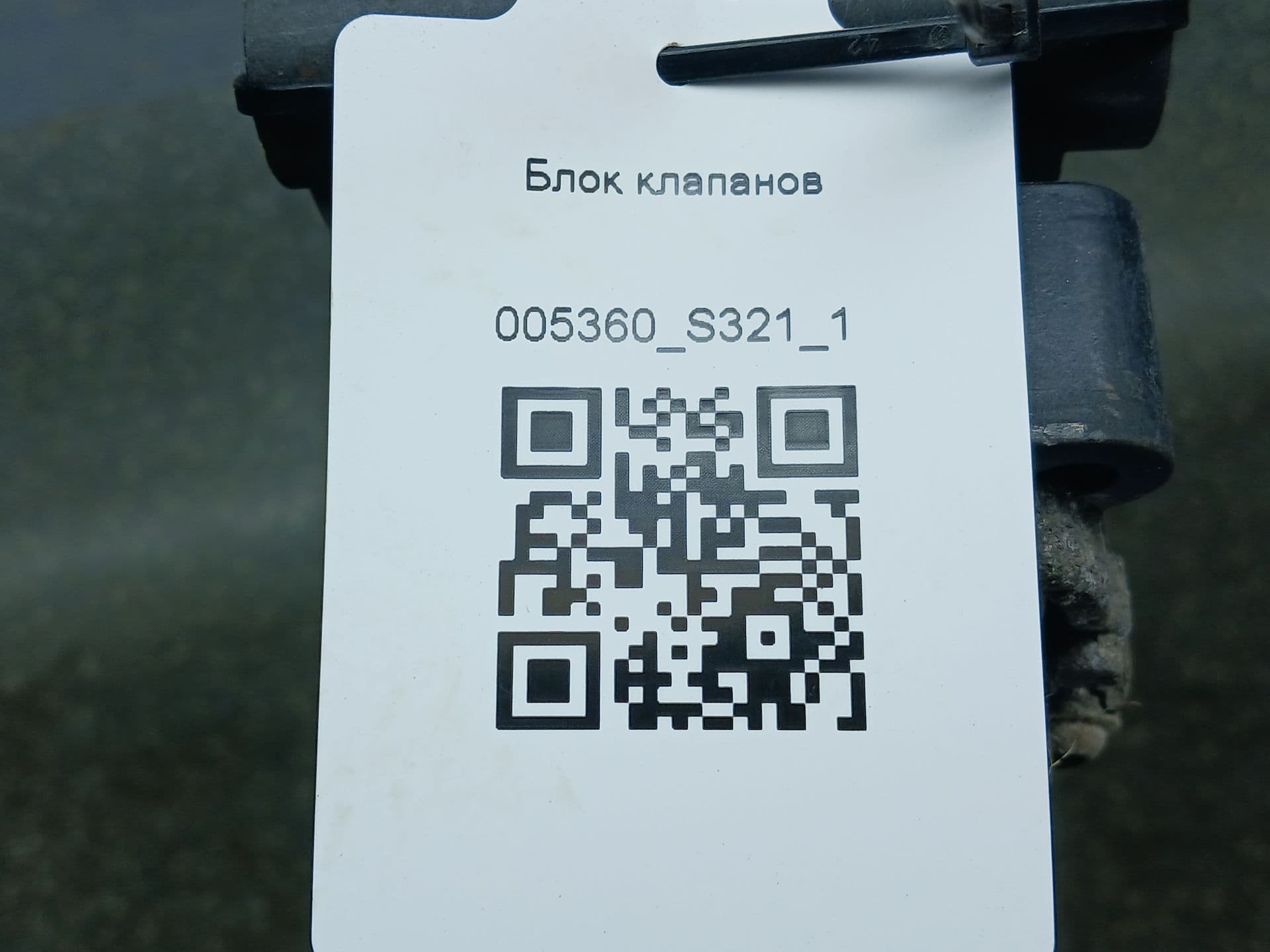 photo-4