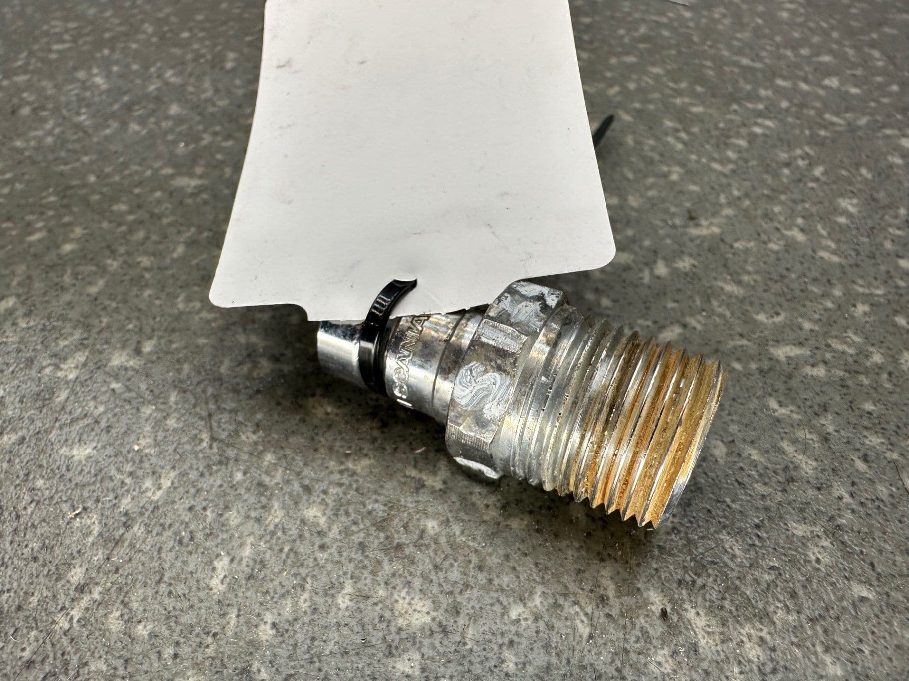 photo-1