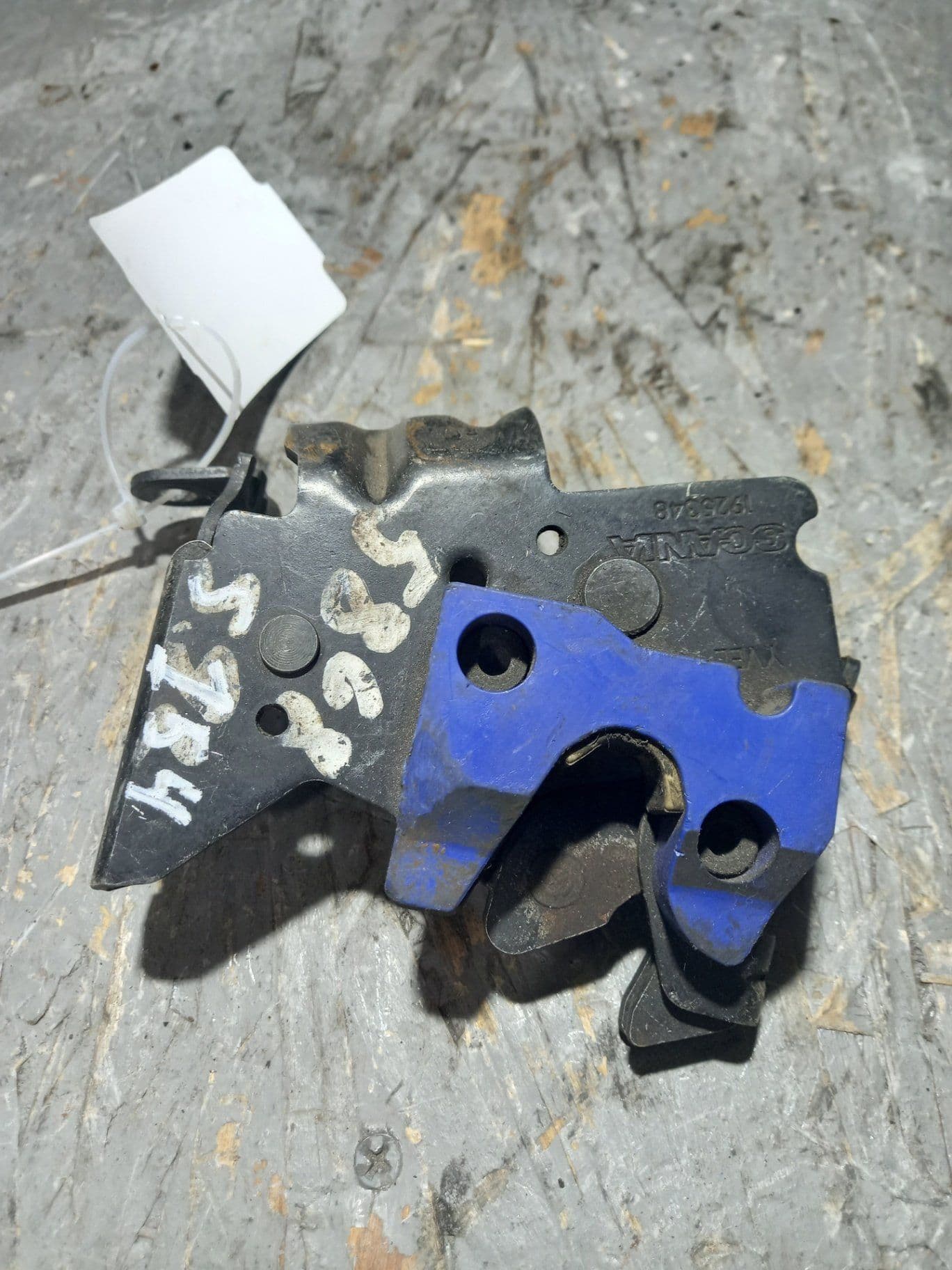 photo-1