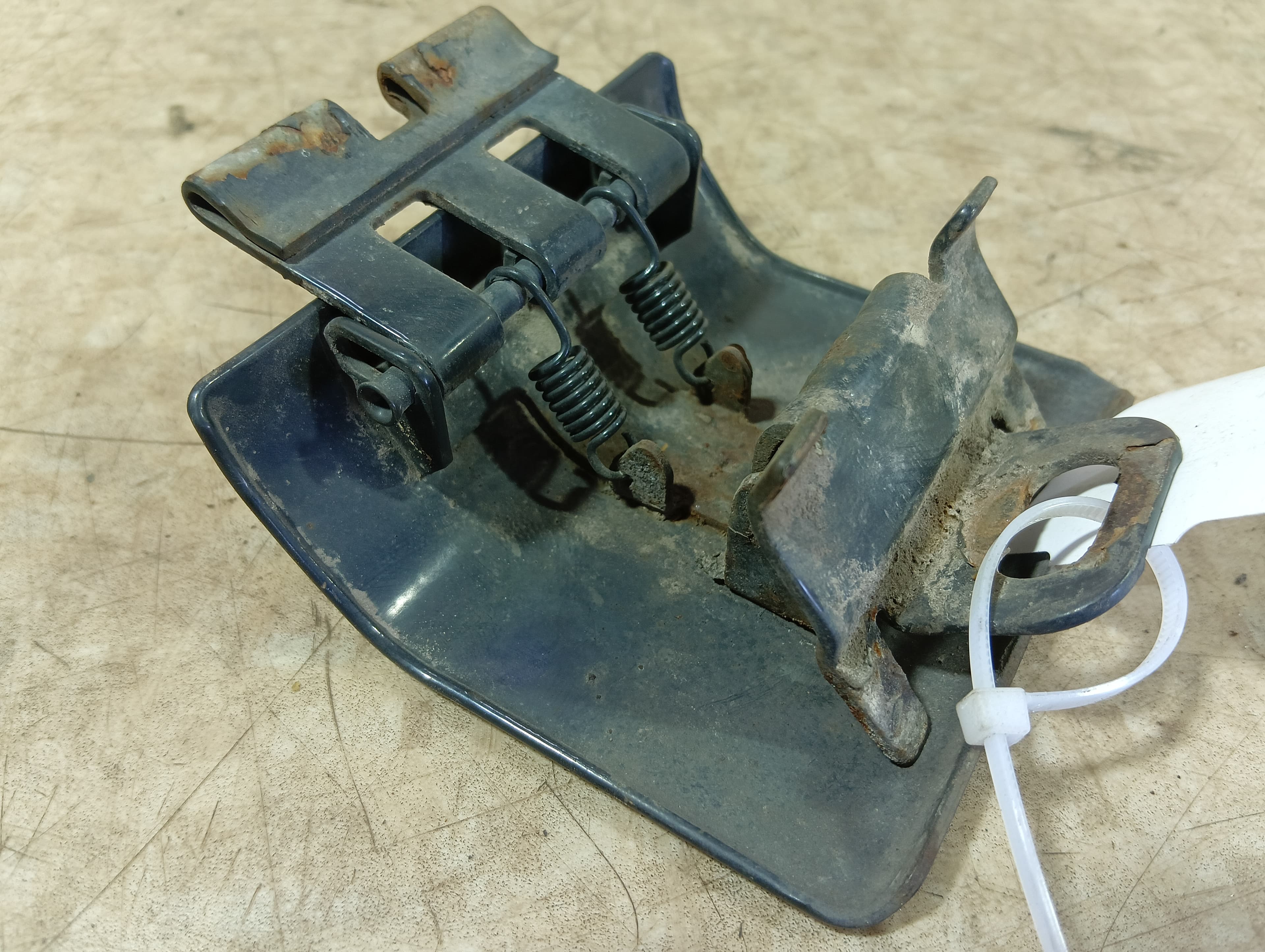 photo-1