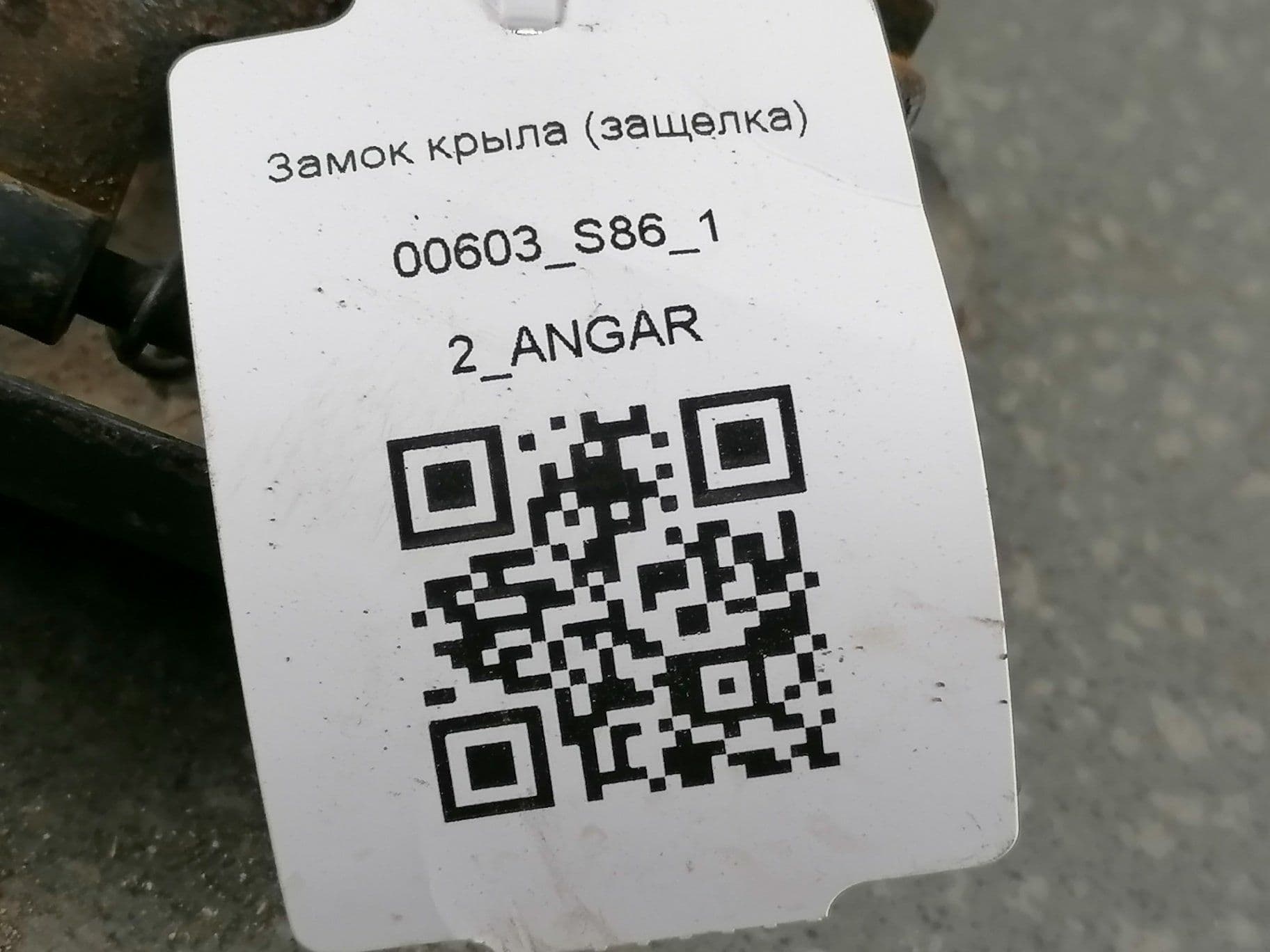 photo-1