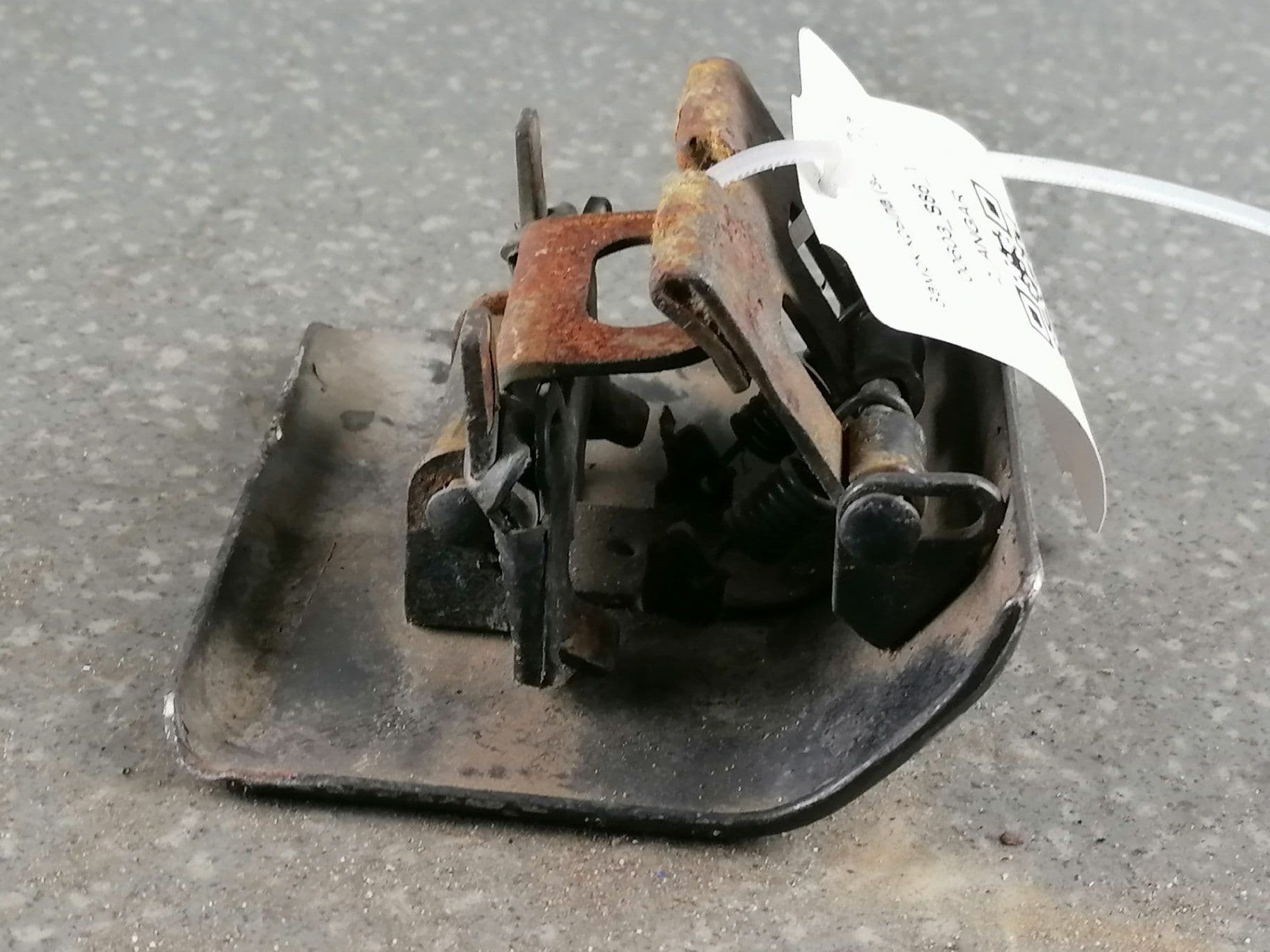 photo-2