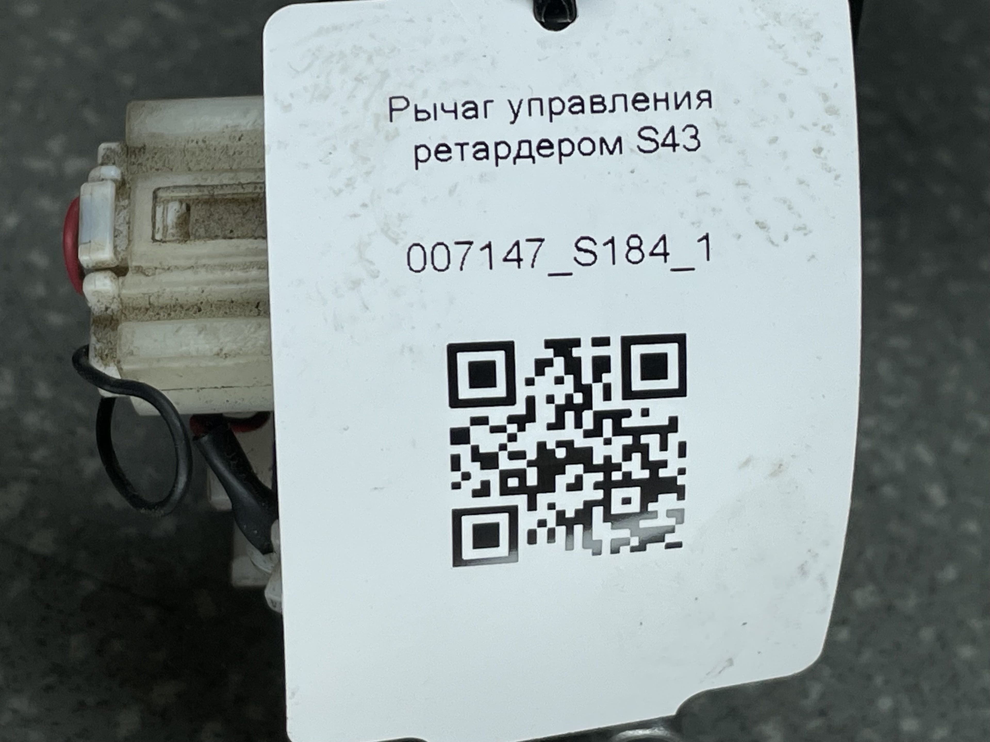 photo-3
