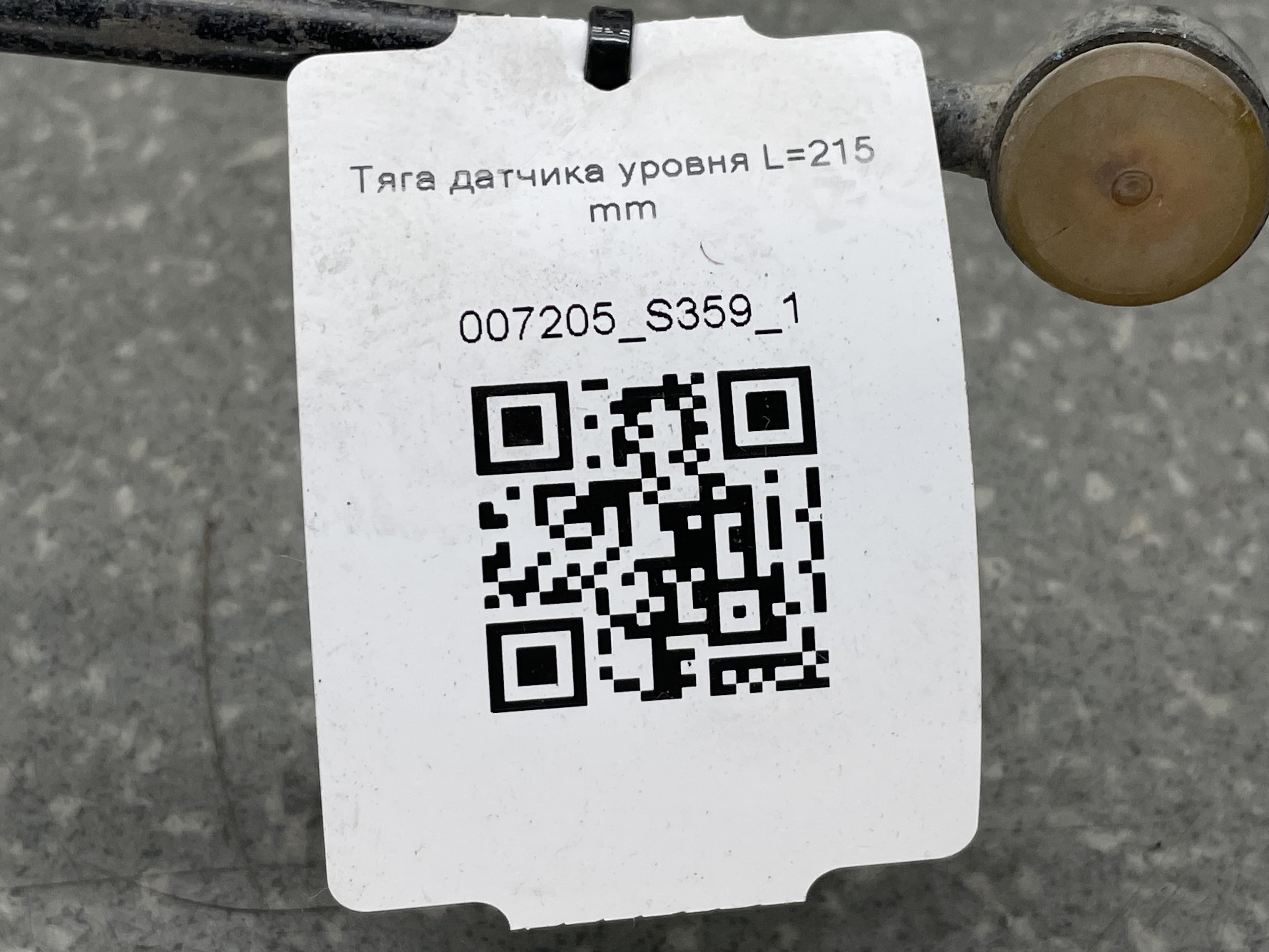 photo-3
