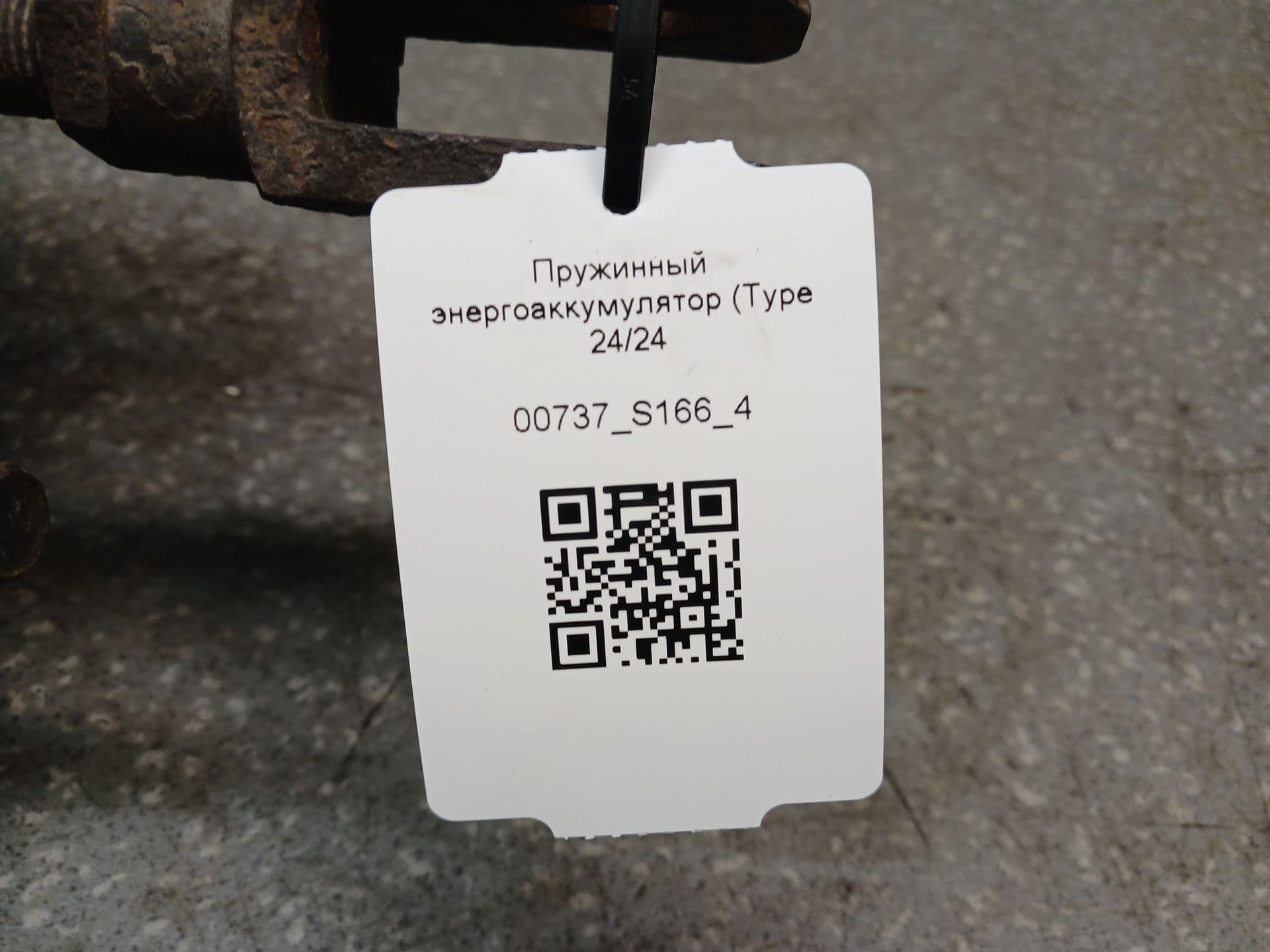 photo-3