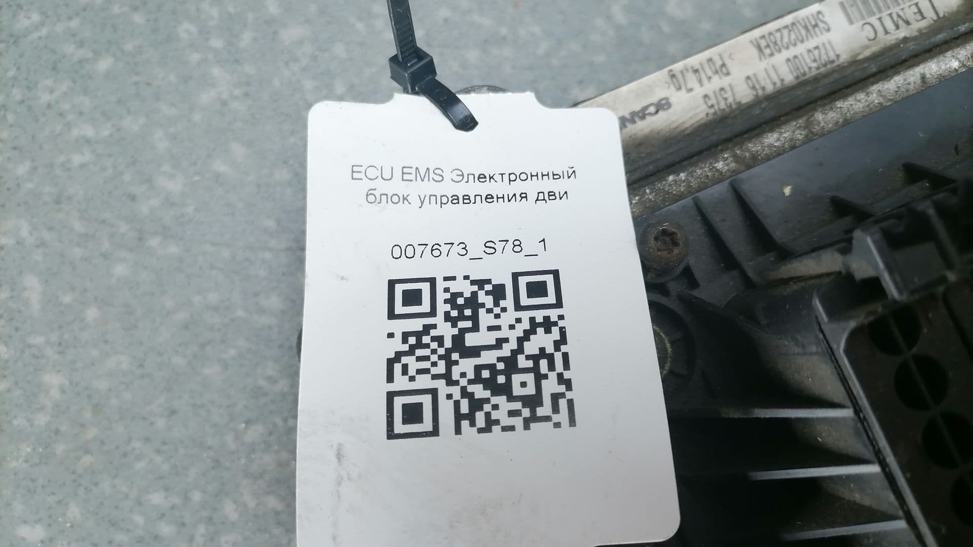 photo-5