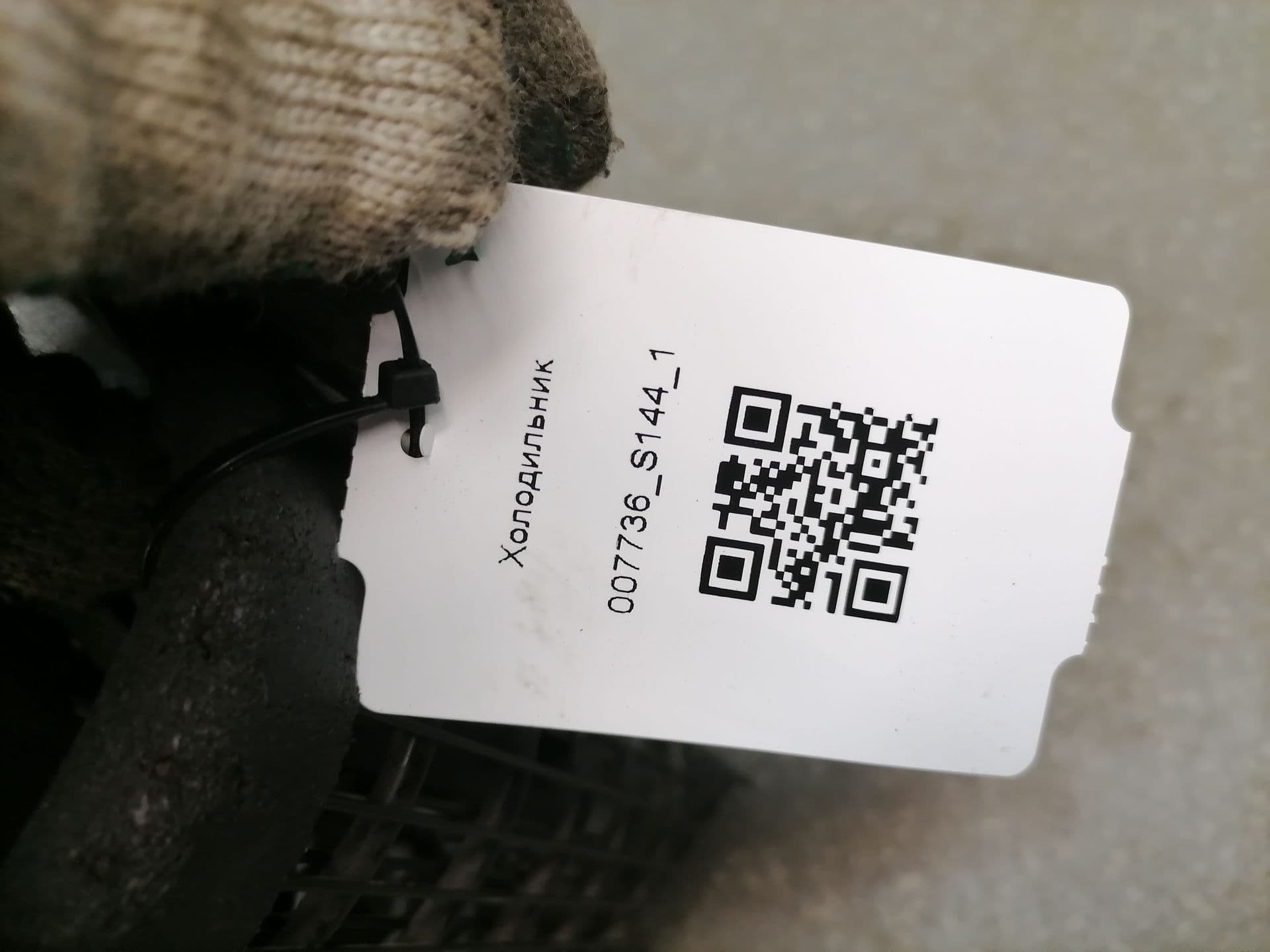 photo-5
