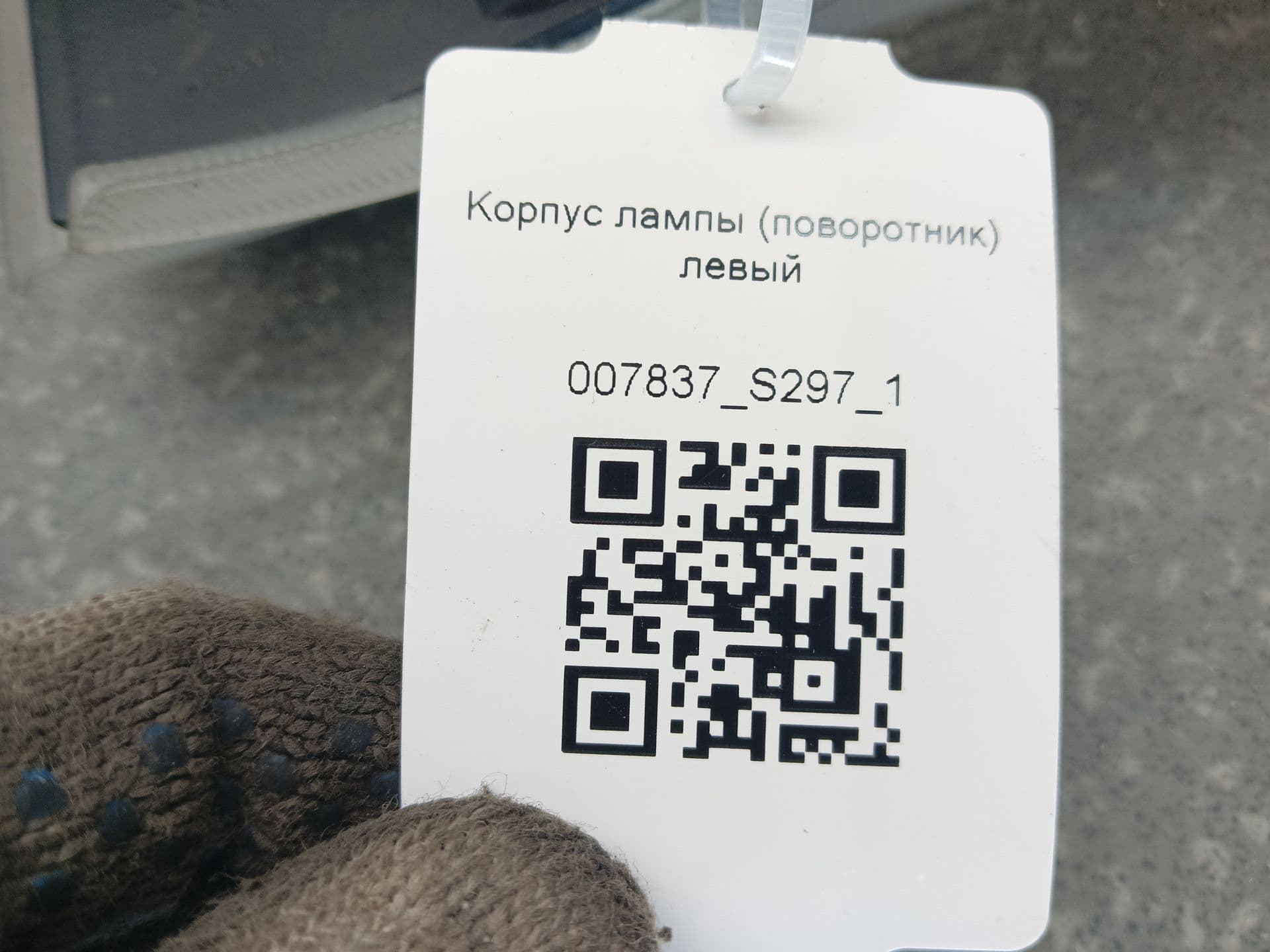 photo-7