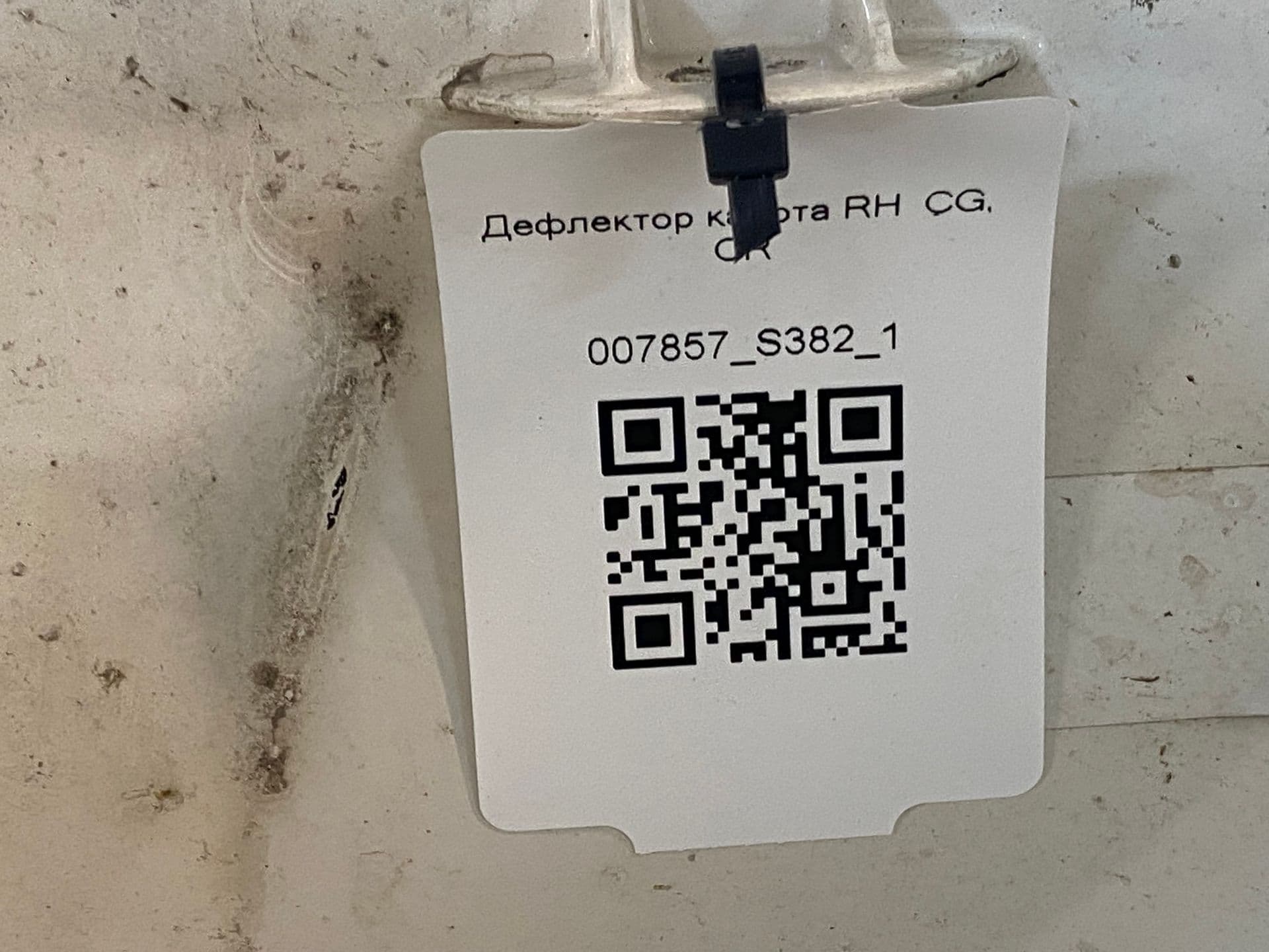 photo-3