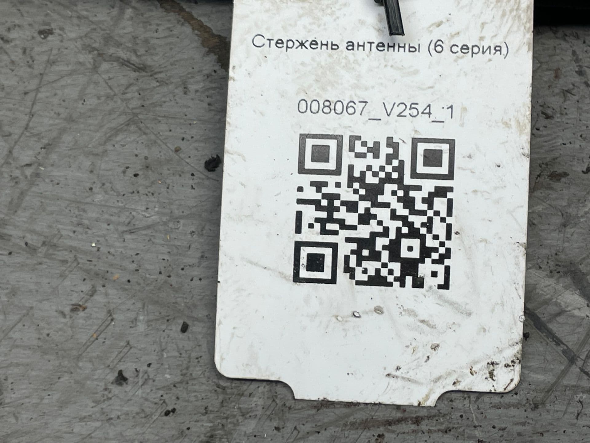 photo-3