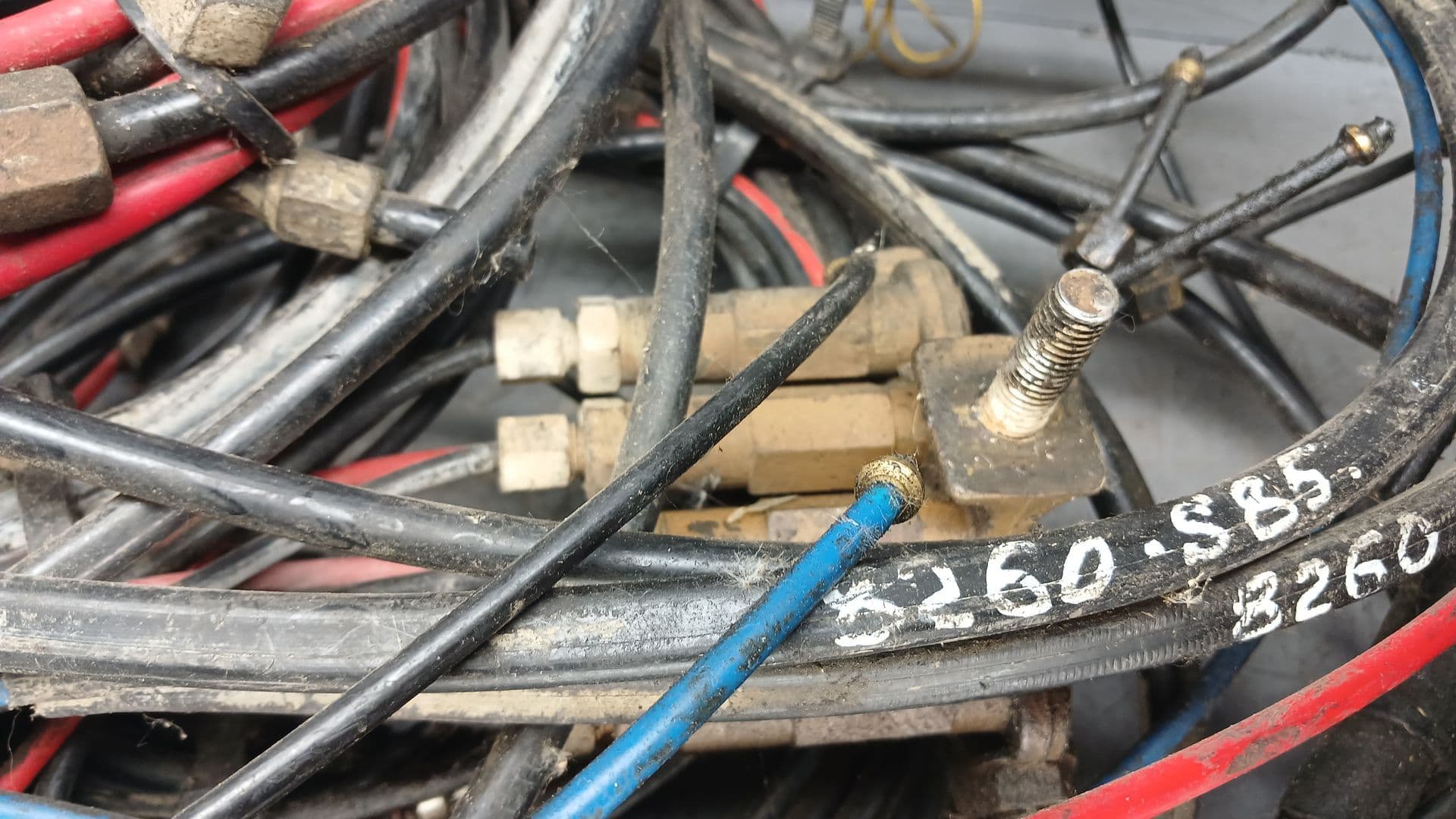 photo-1
