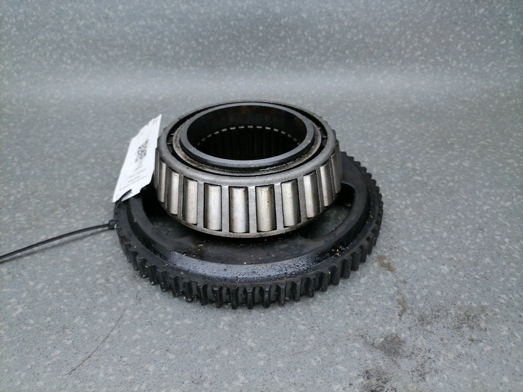 photo-0