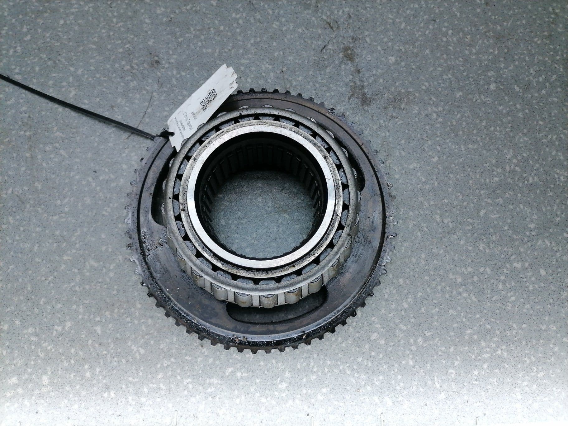 photo-1