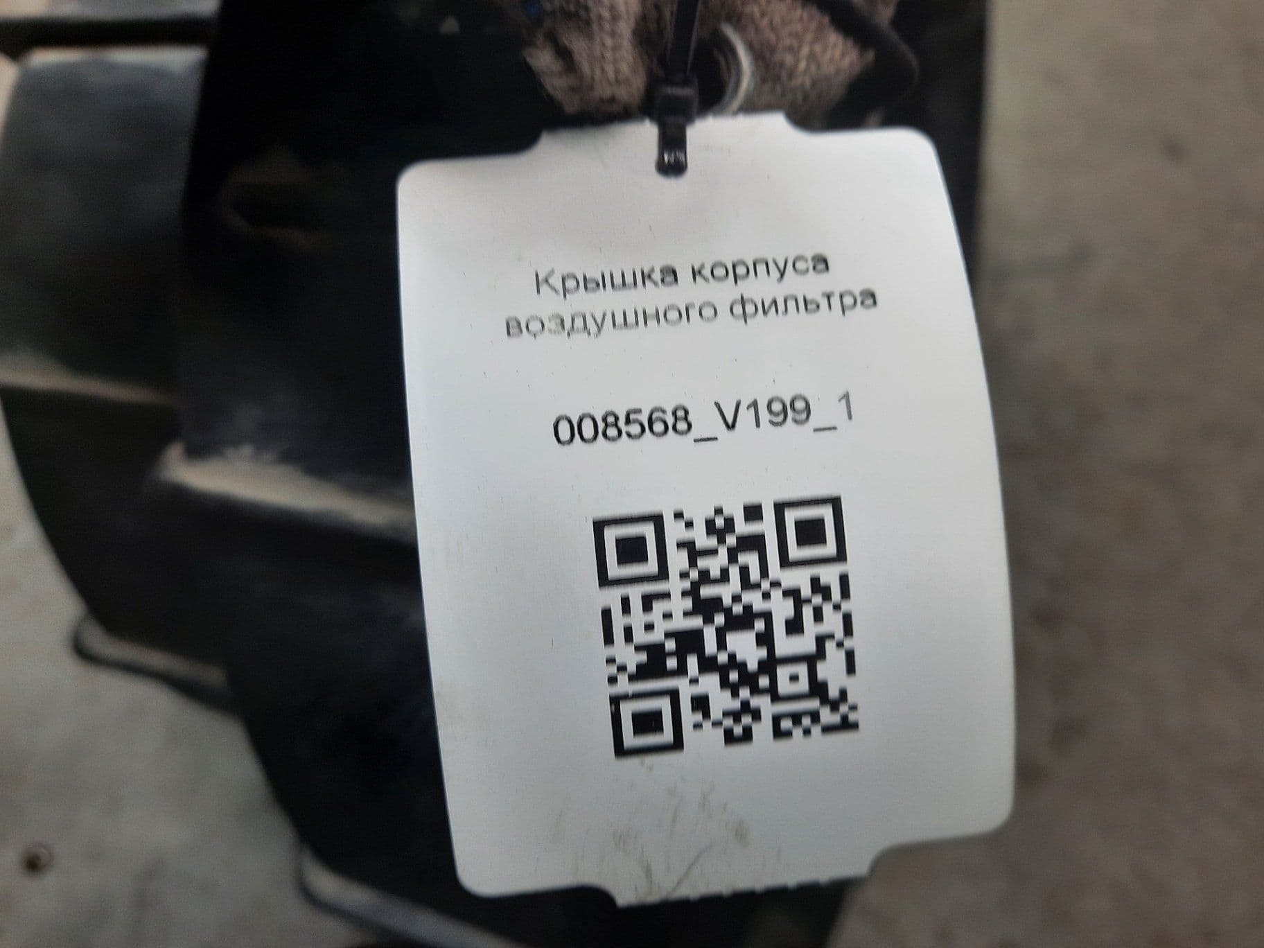 photo-2