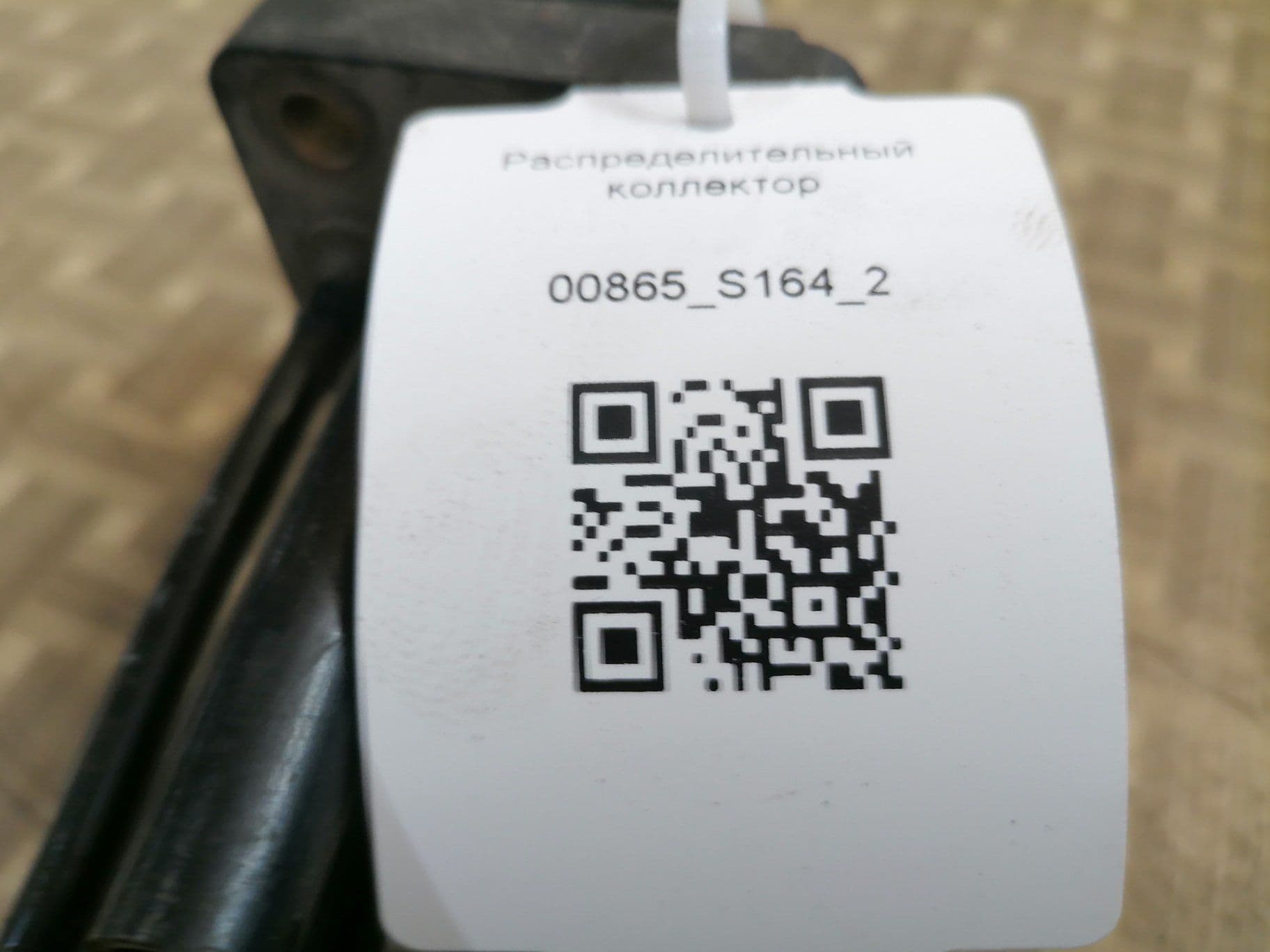 photo-1