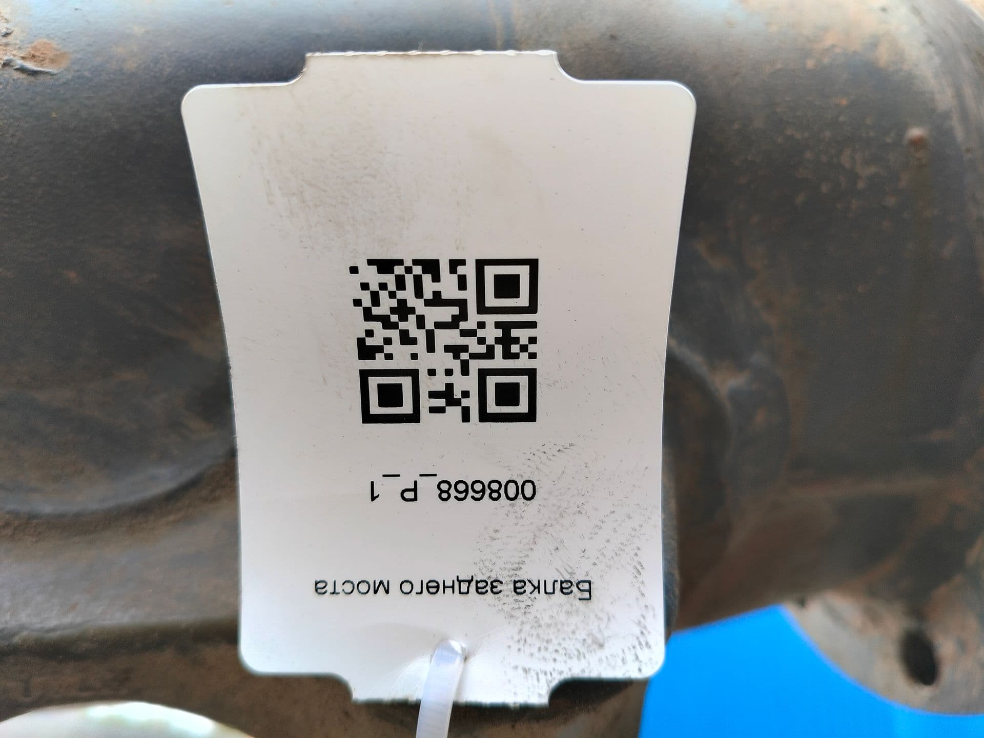 photo-10