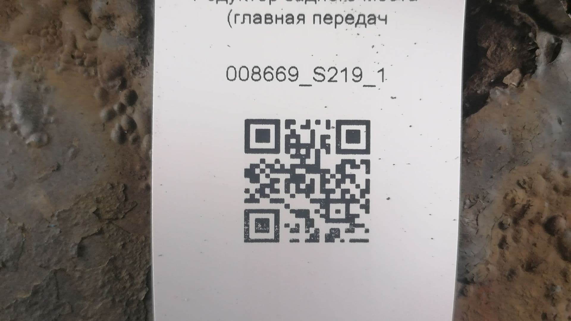 photo-3