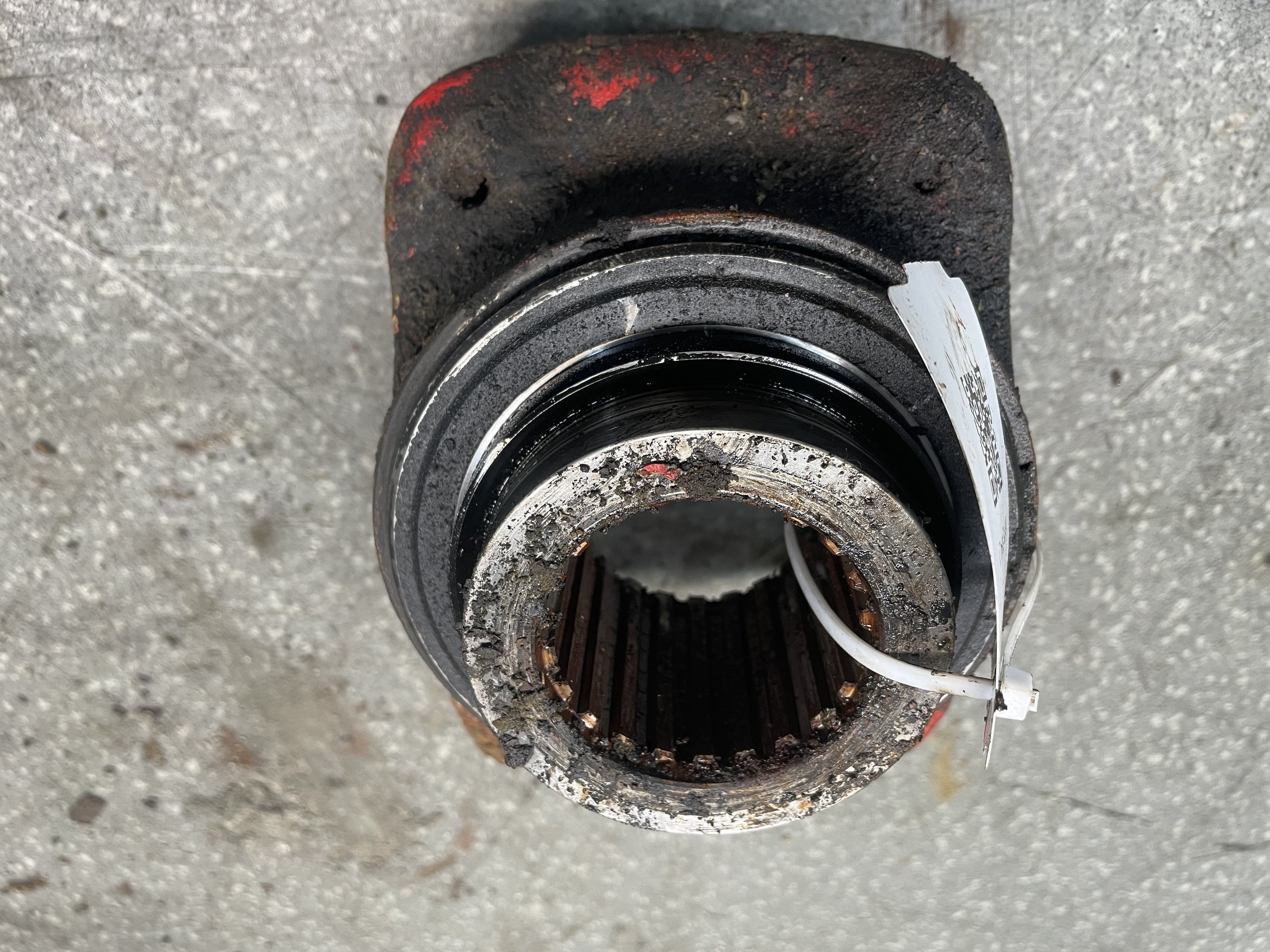 photo-1