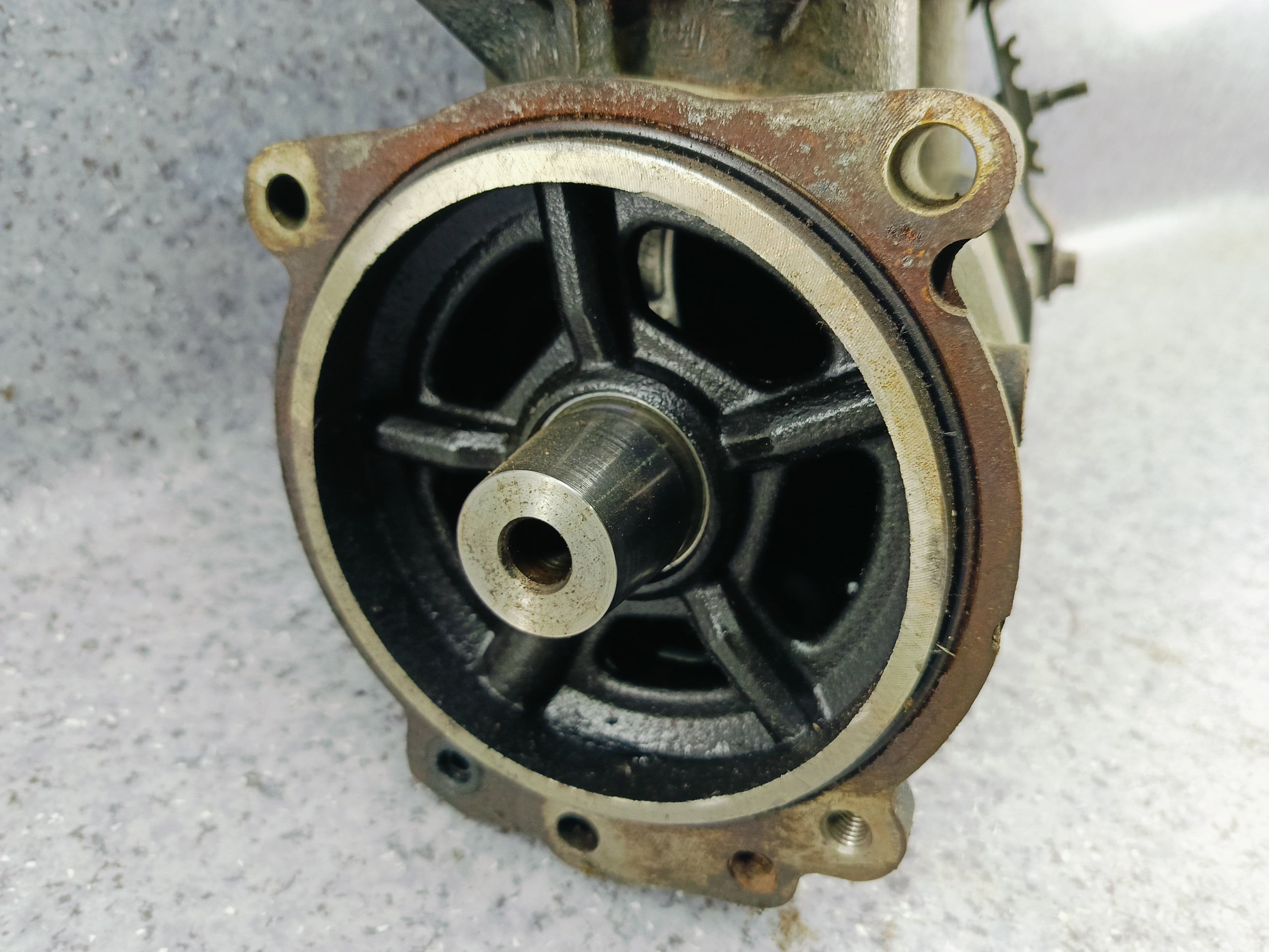 photo-1