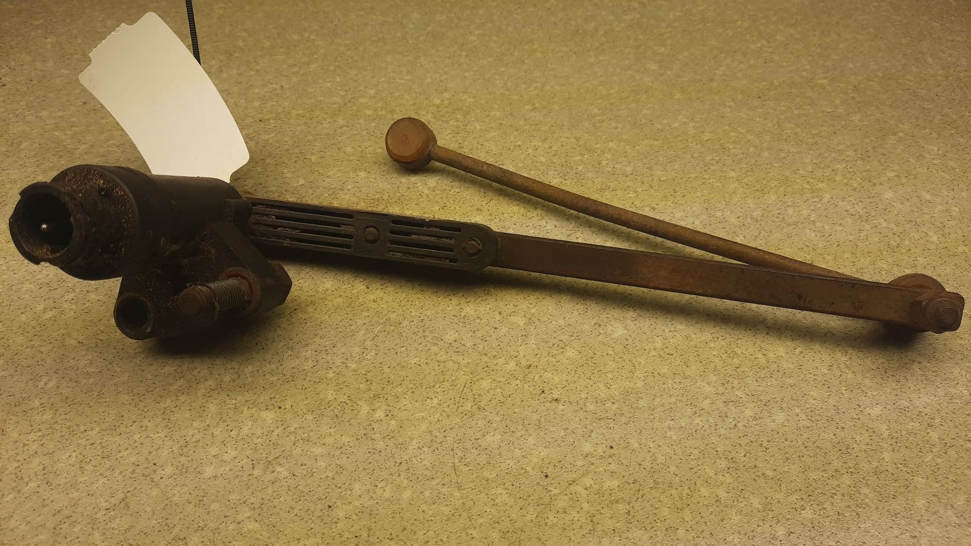 photo-1