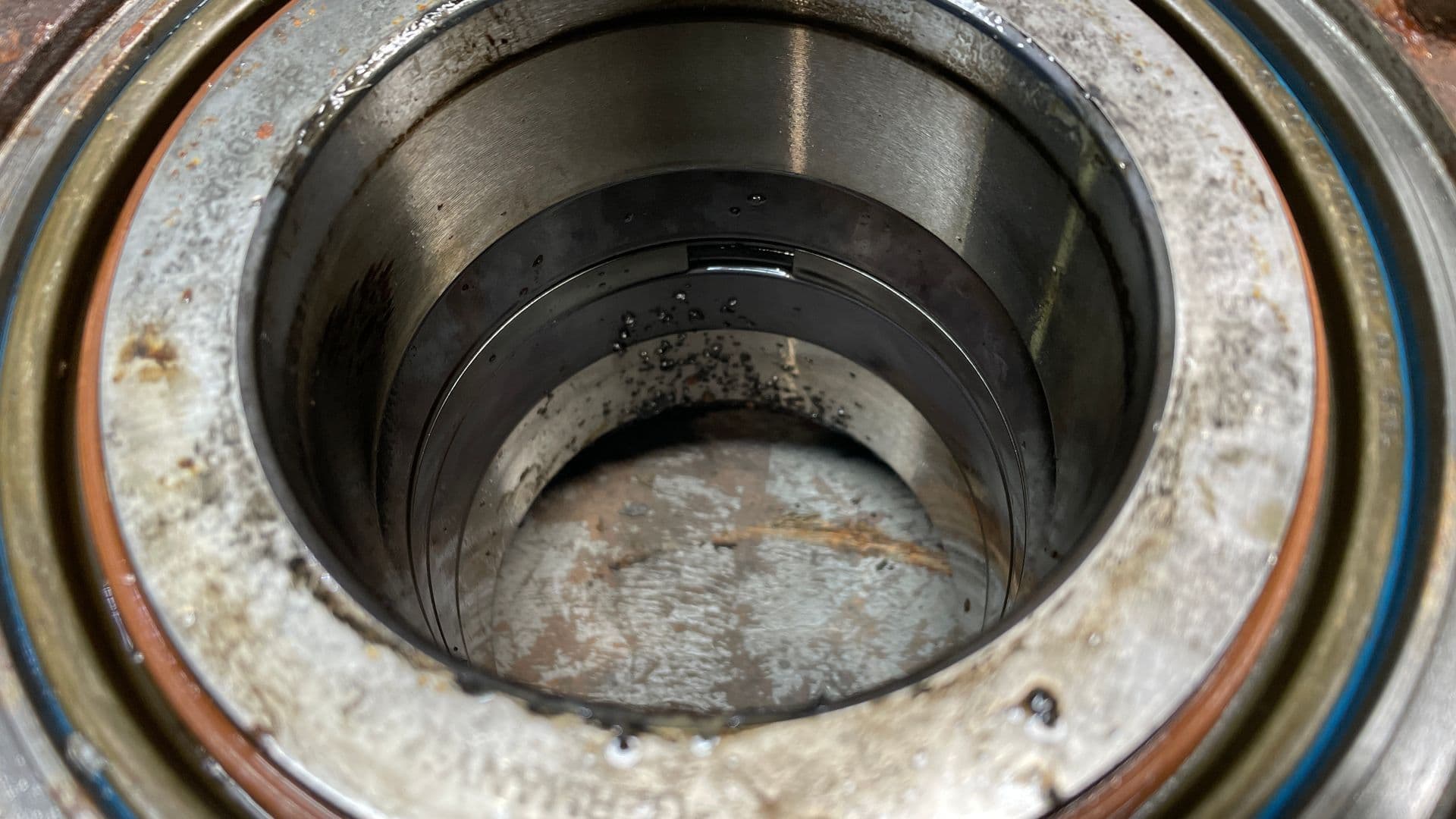 photo-1