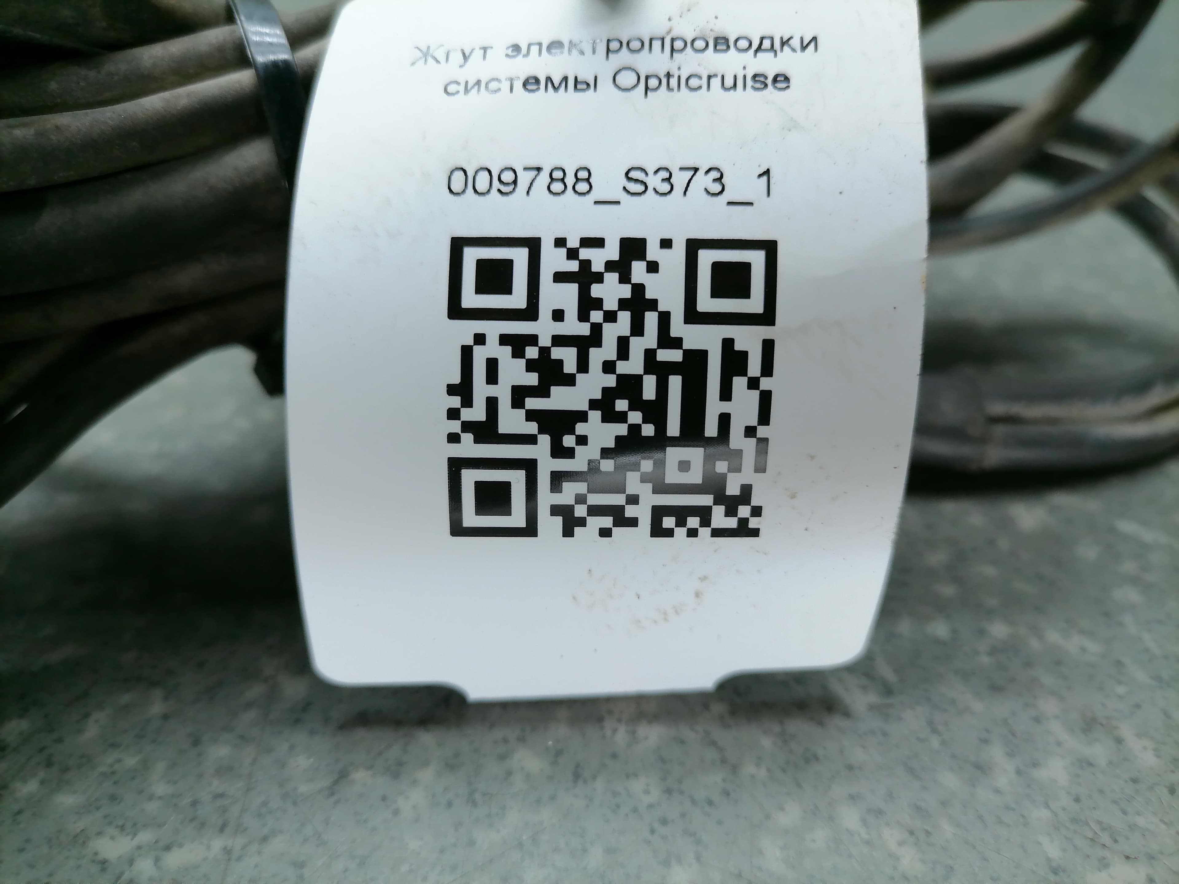 photo-7
