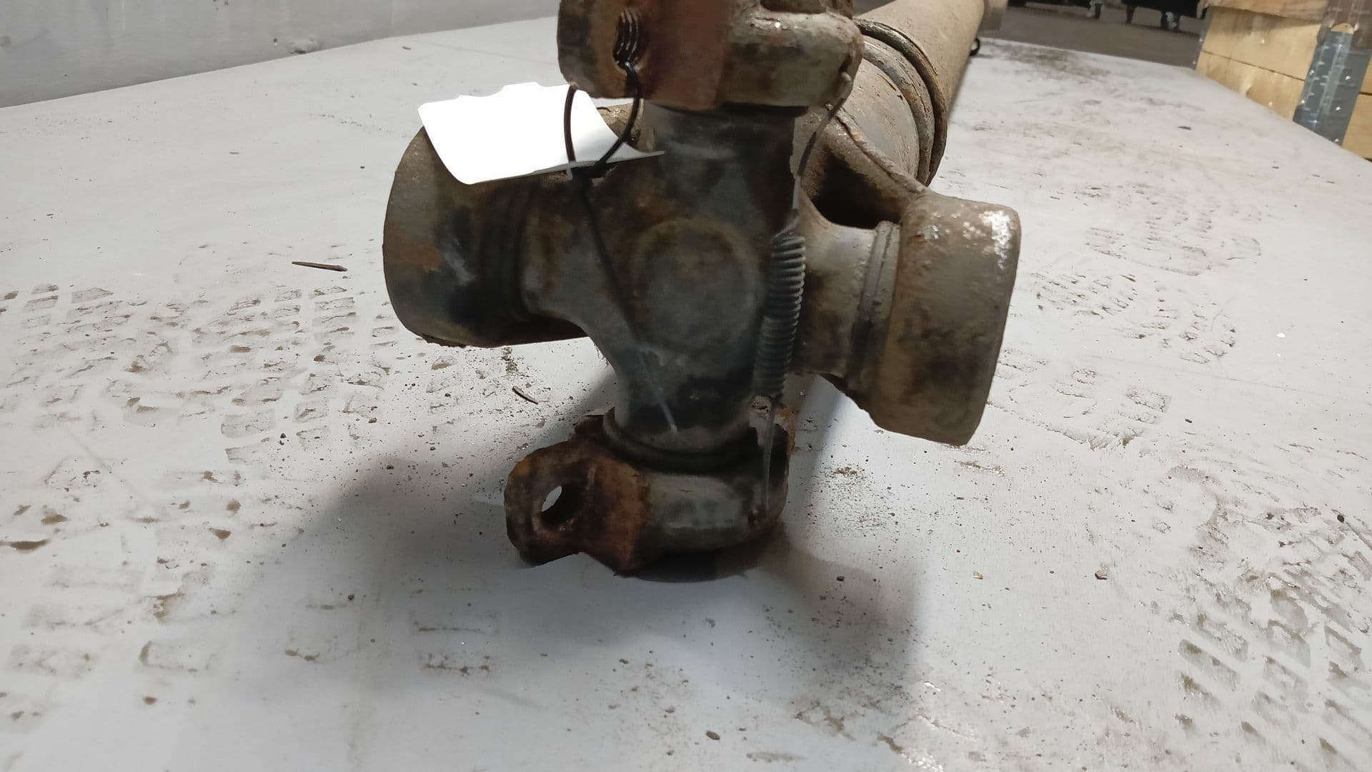 photo-1