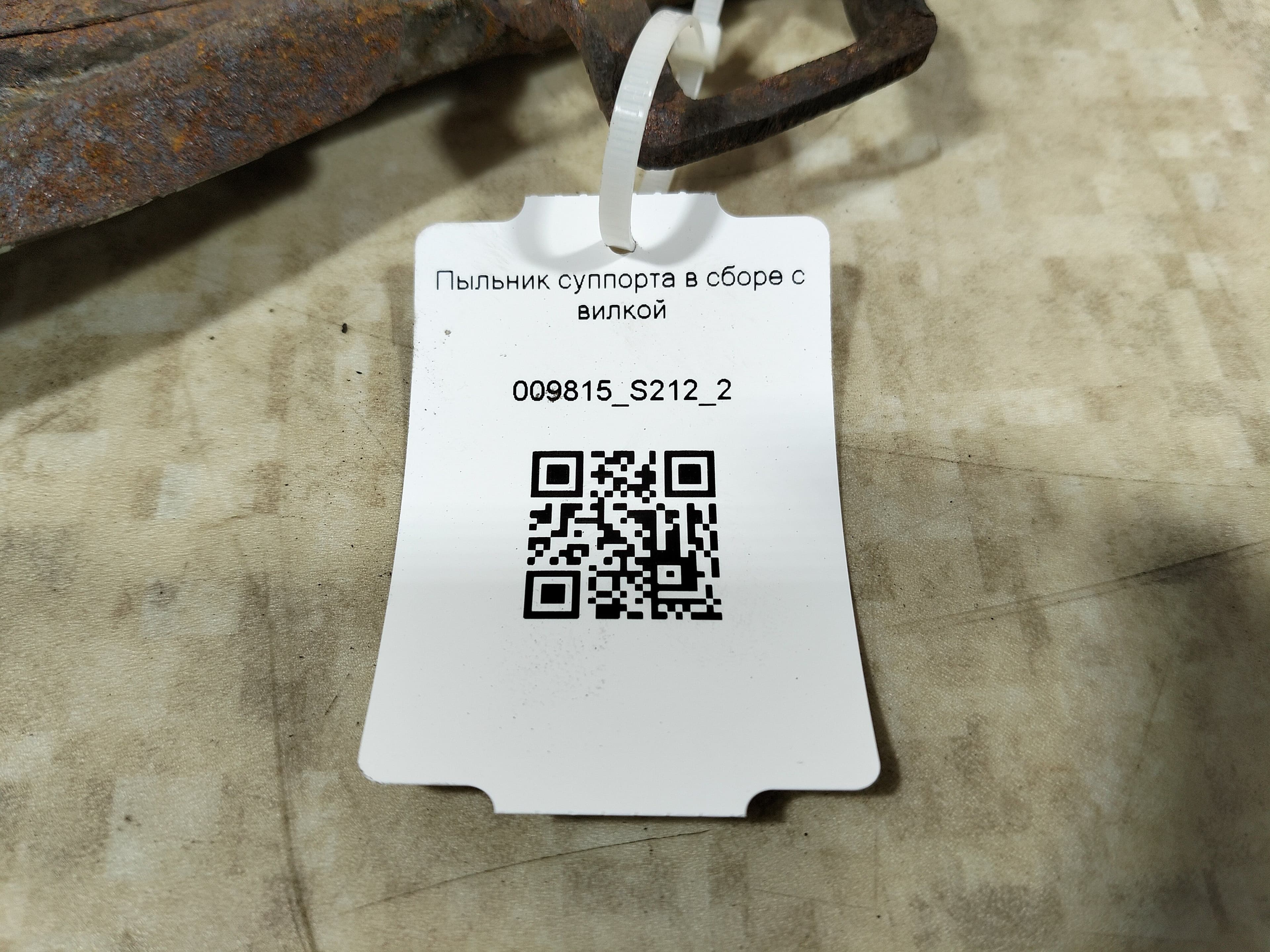 photo-1