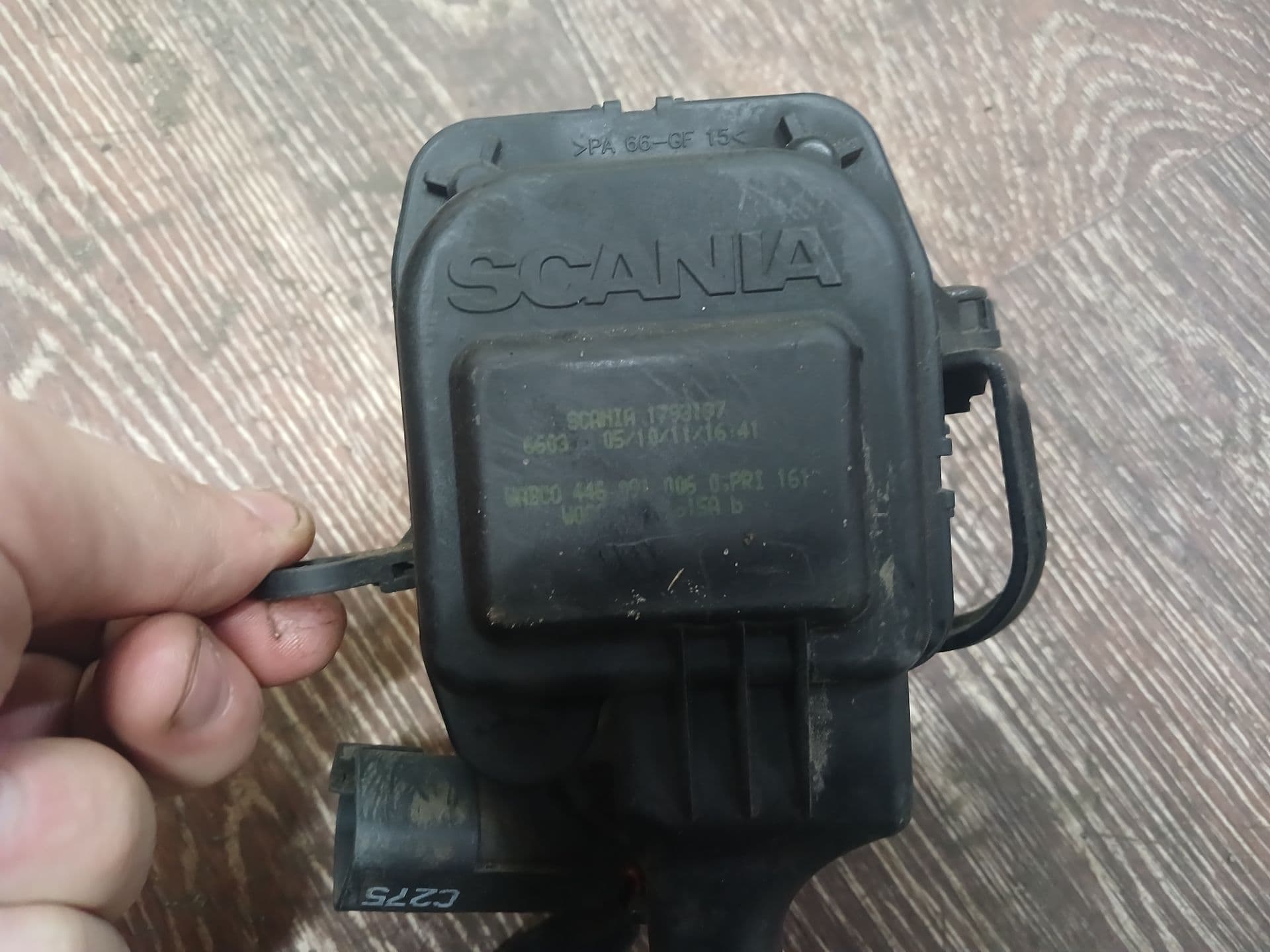 photo-1