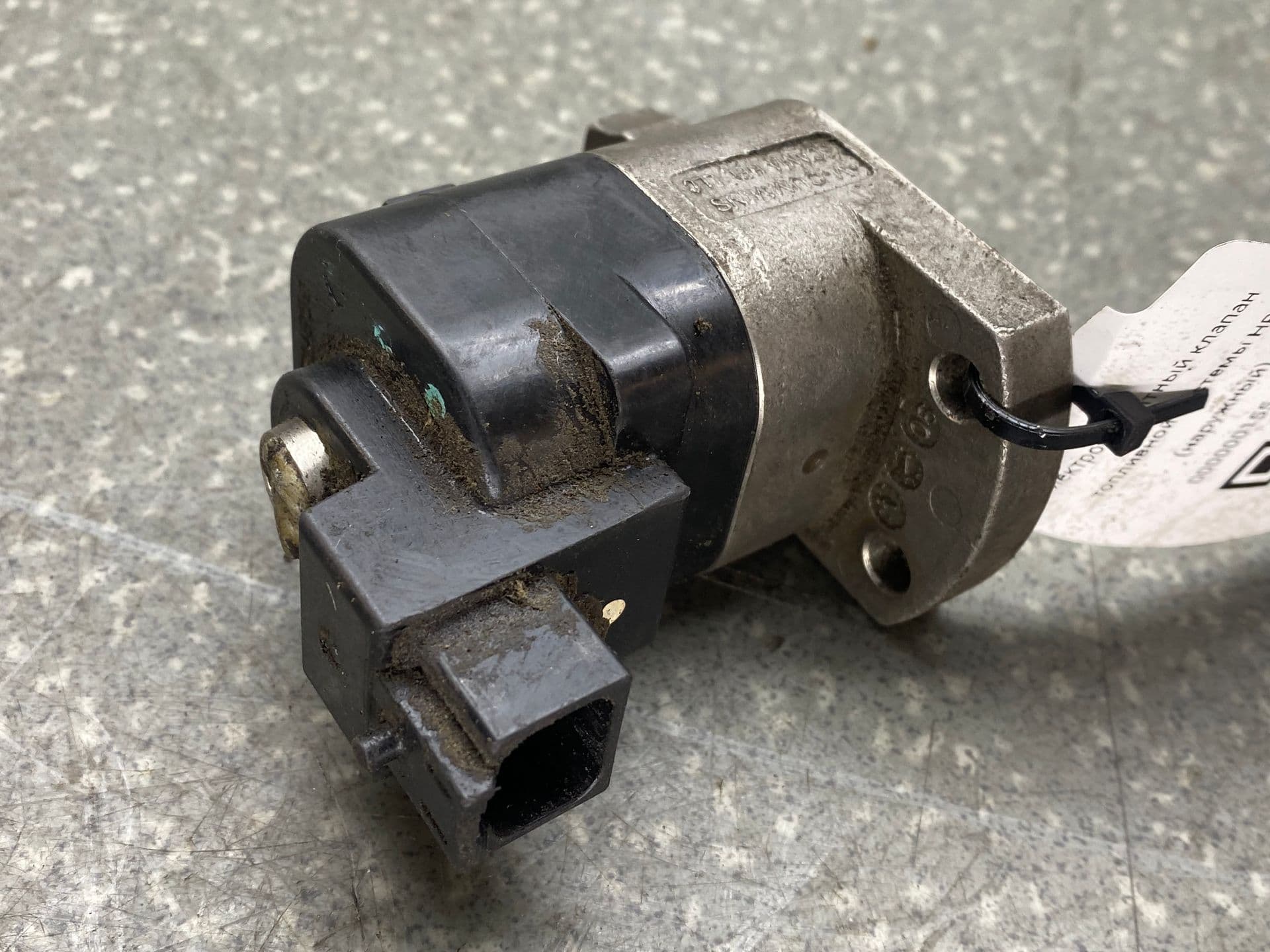 photo-1