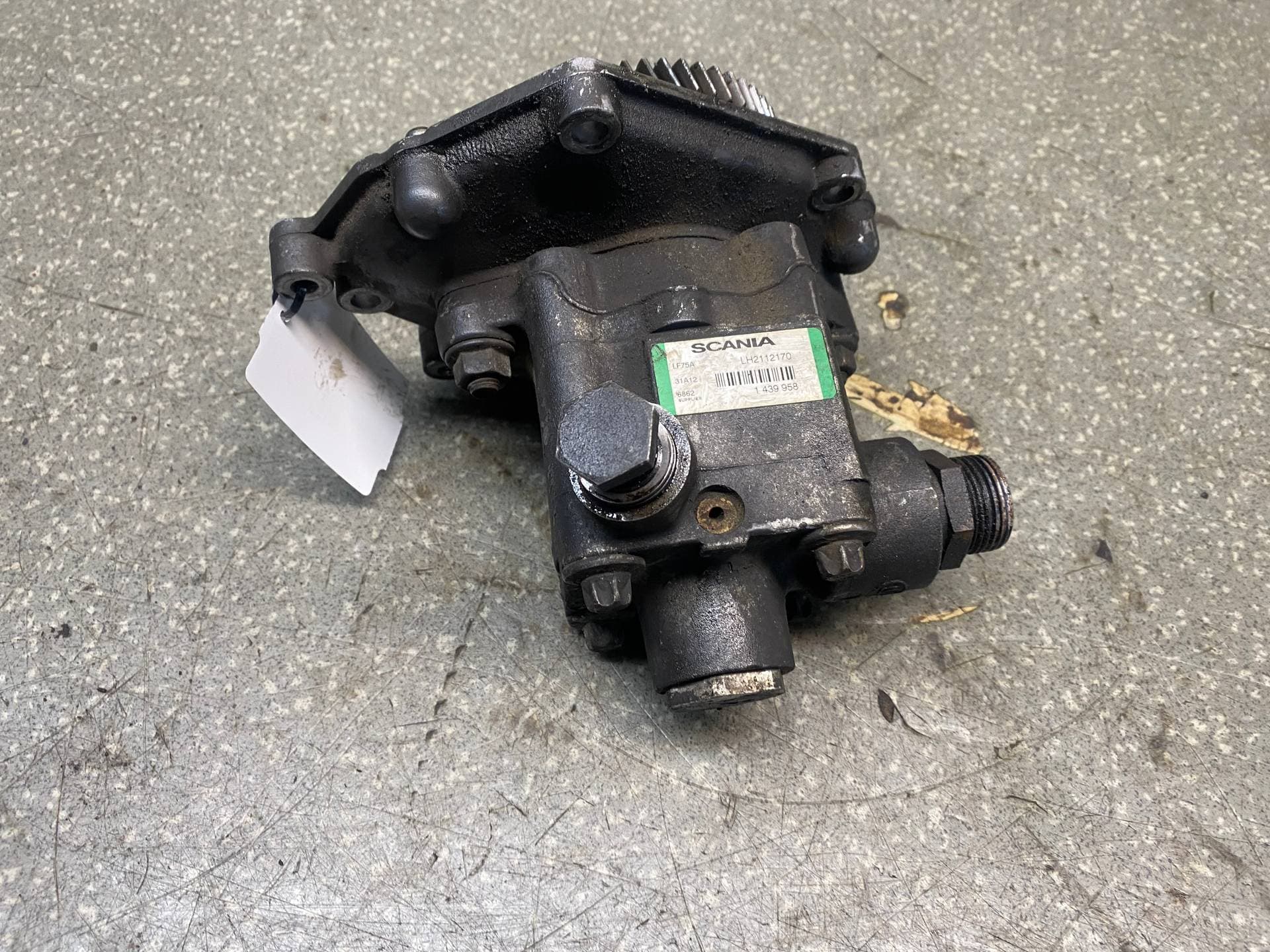 photo-1