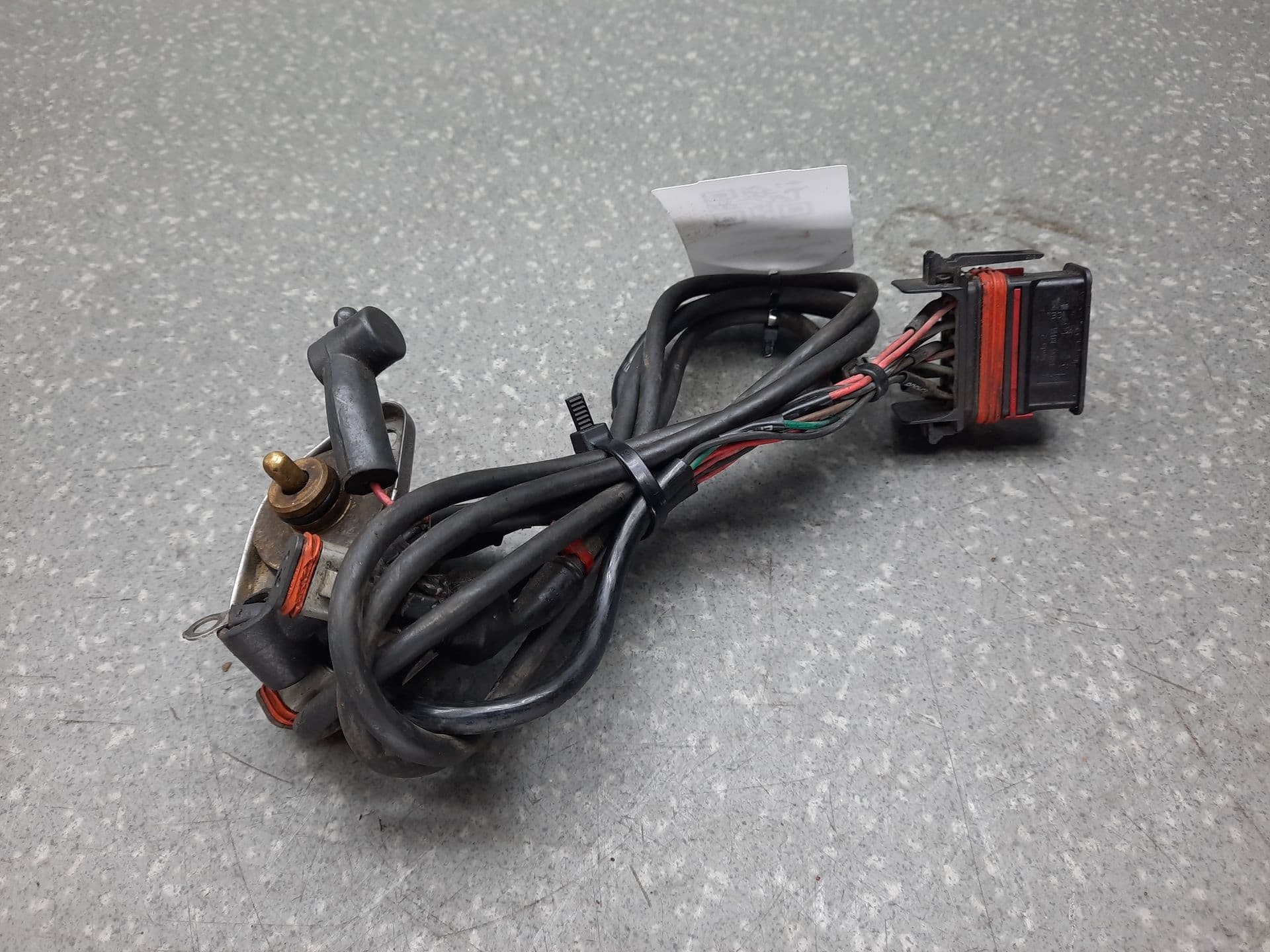 photo-1