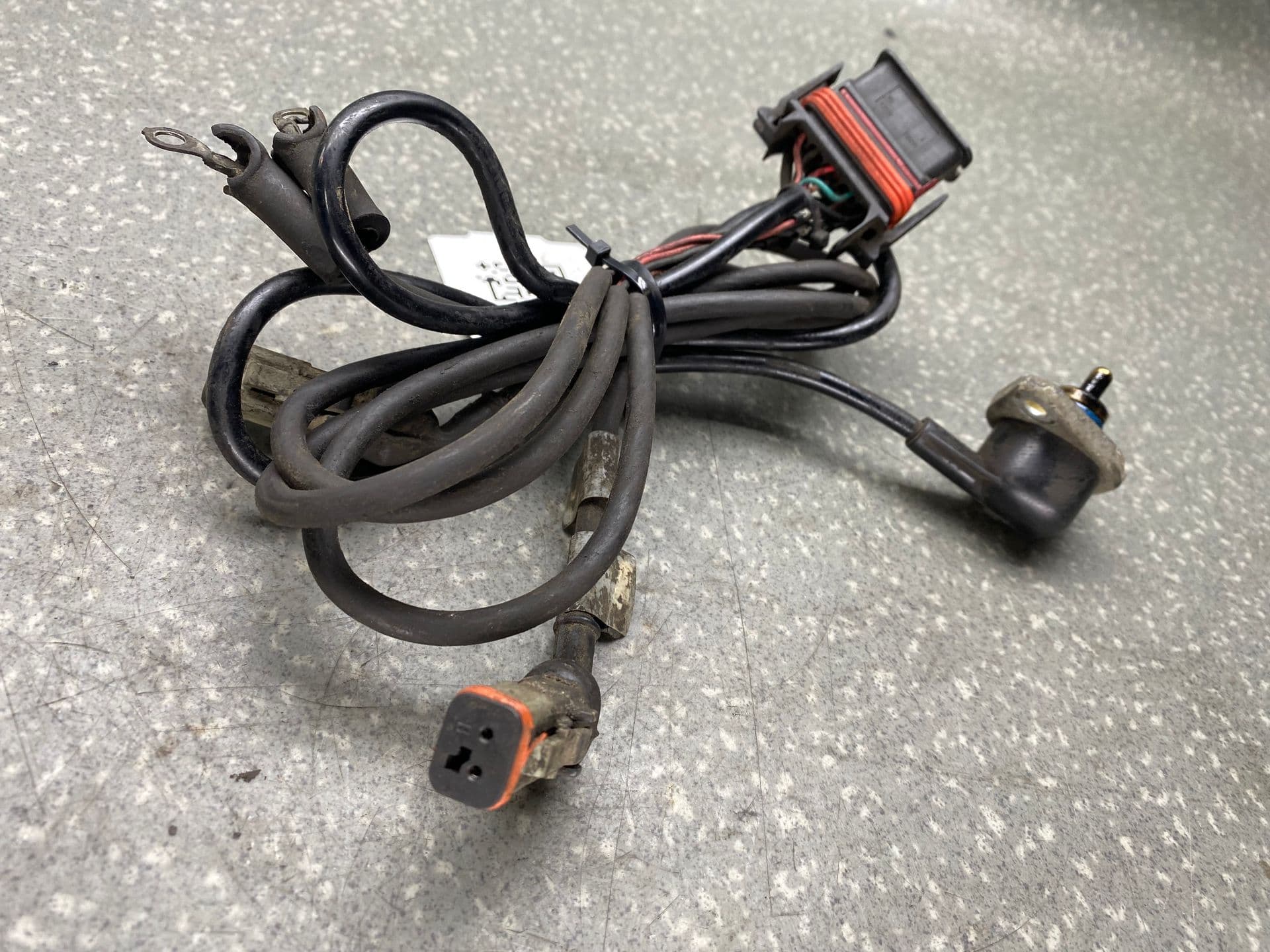 photo-1