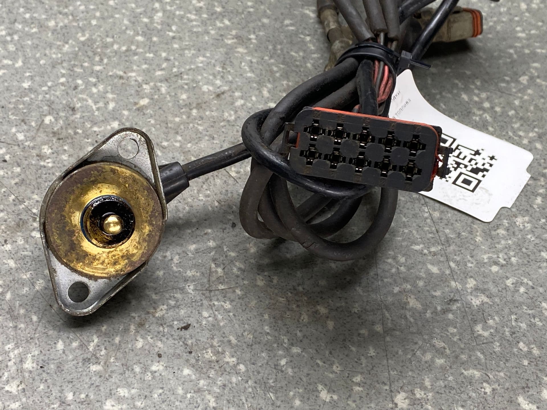 photo-3
