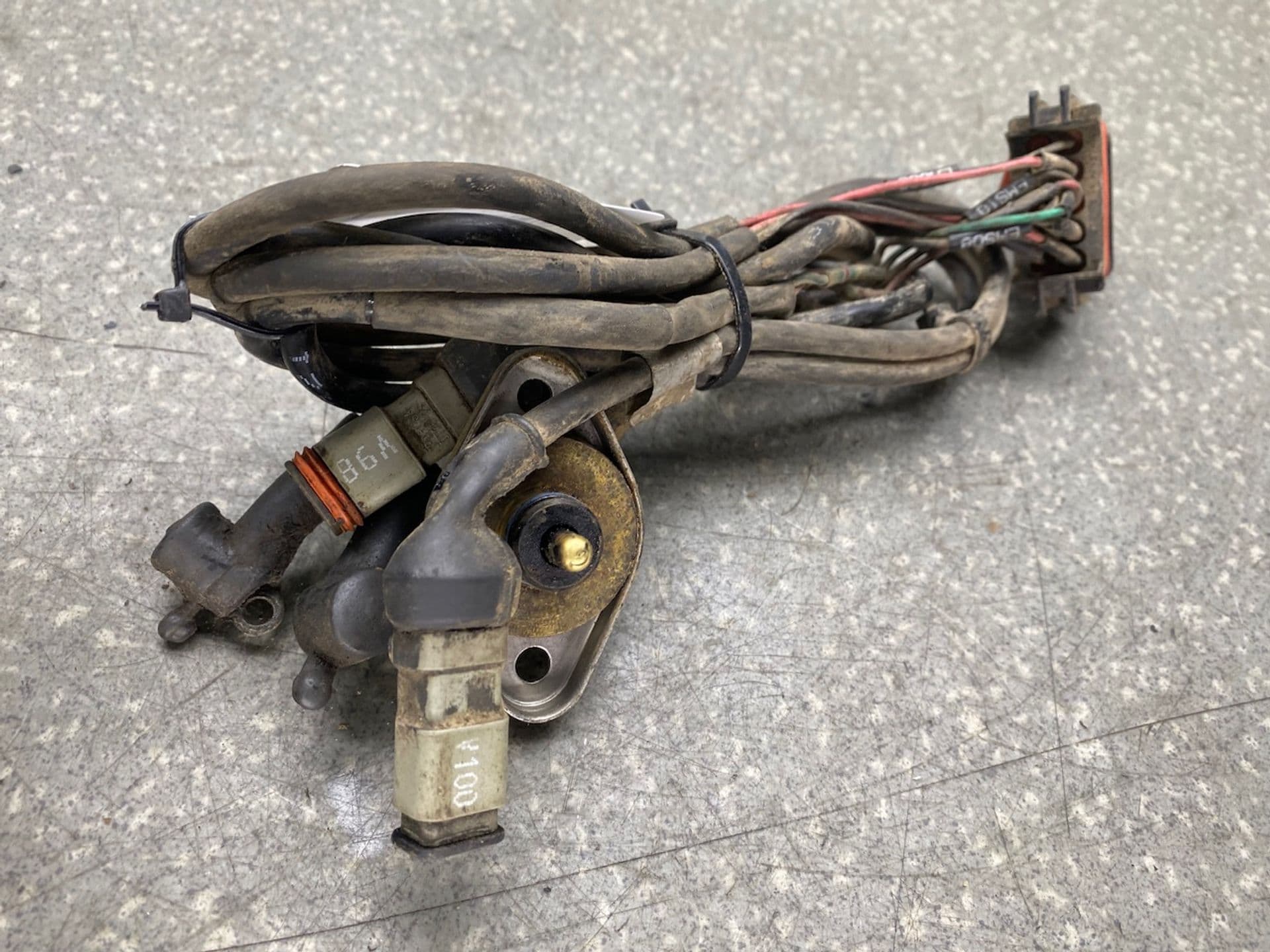 photo-1