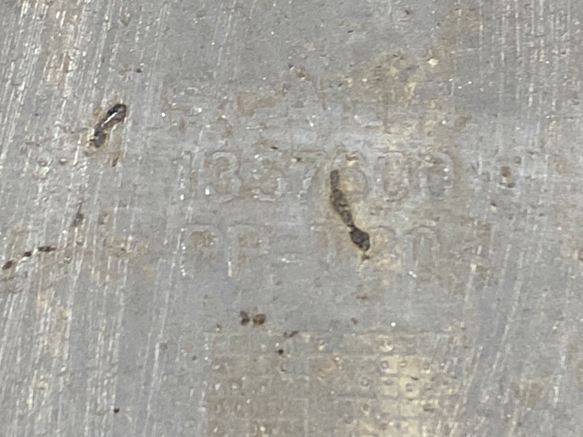 photo-2