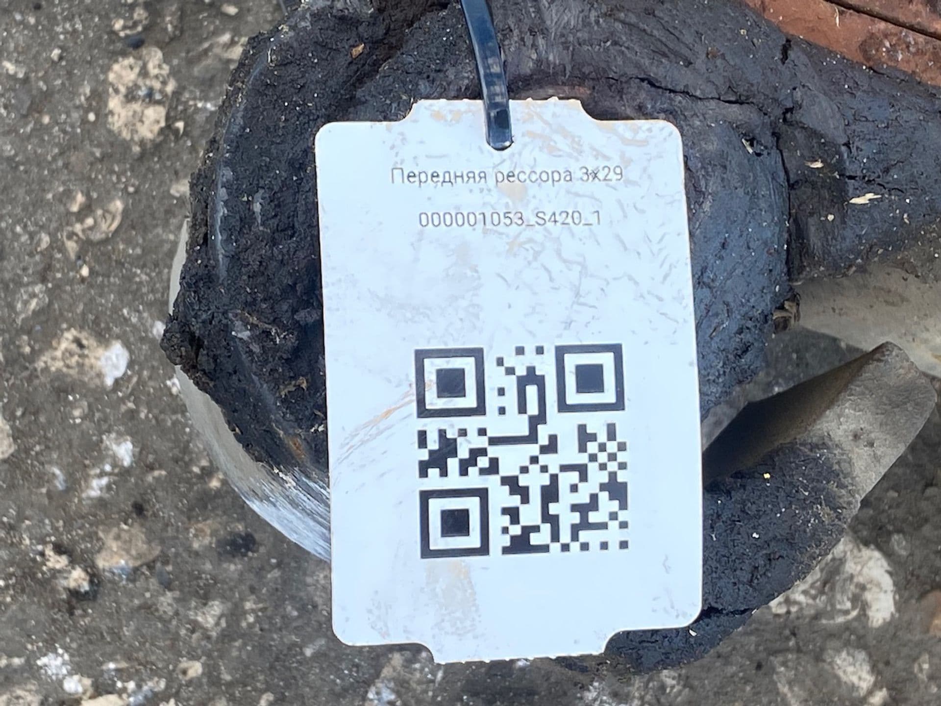 photo-4