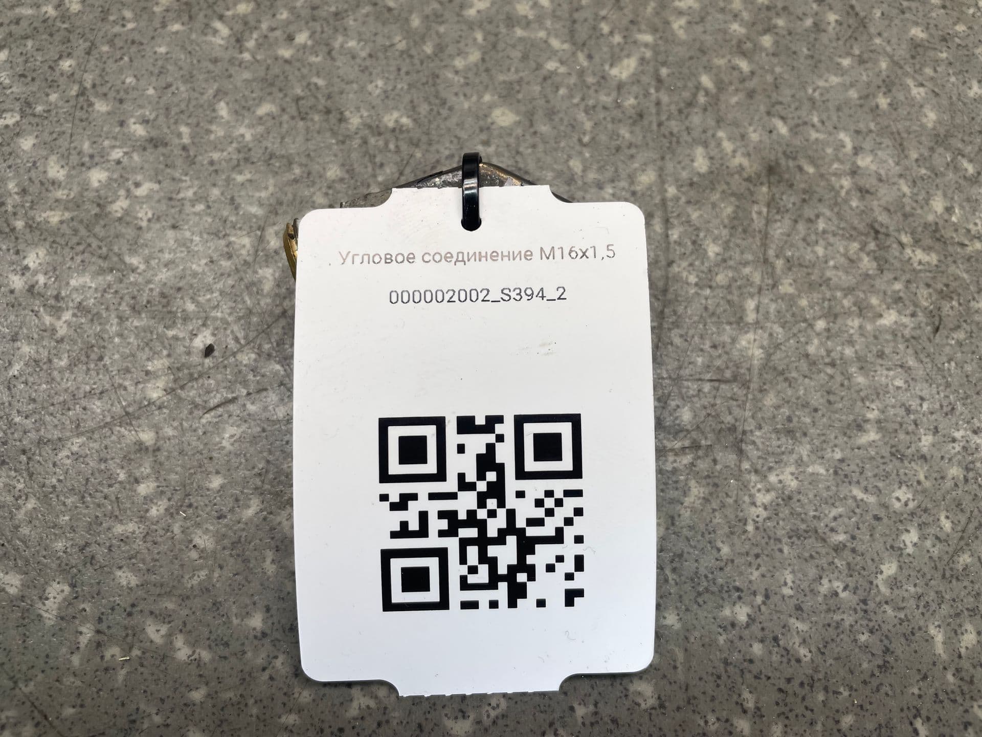 photo-1