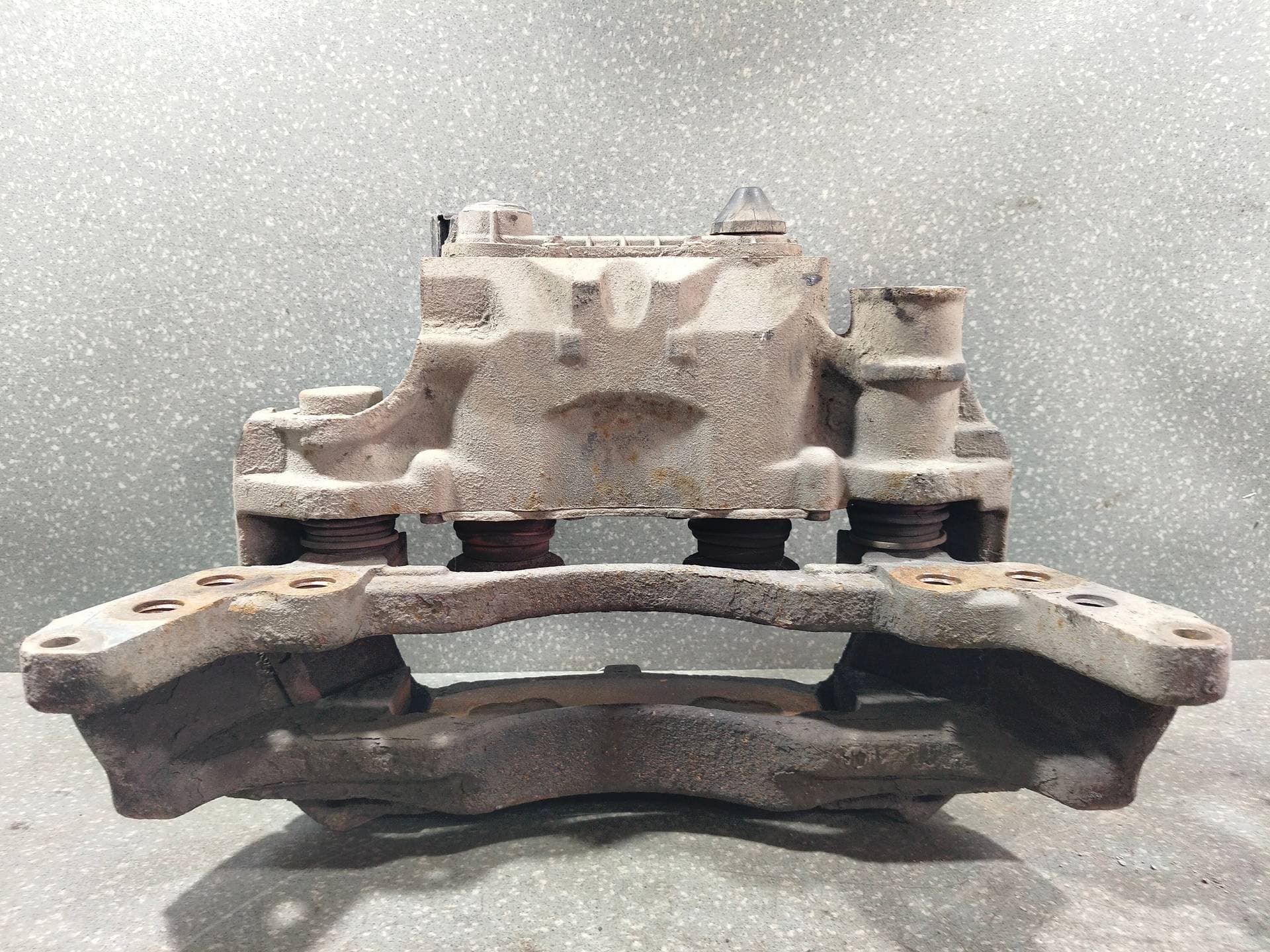 photo-1