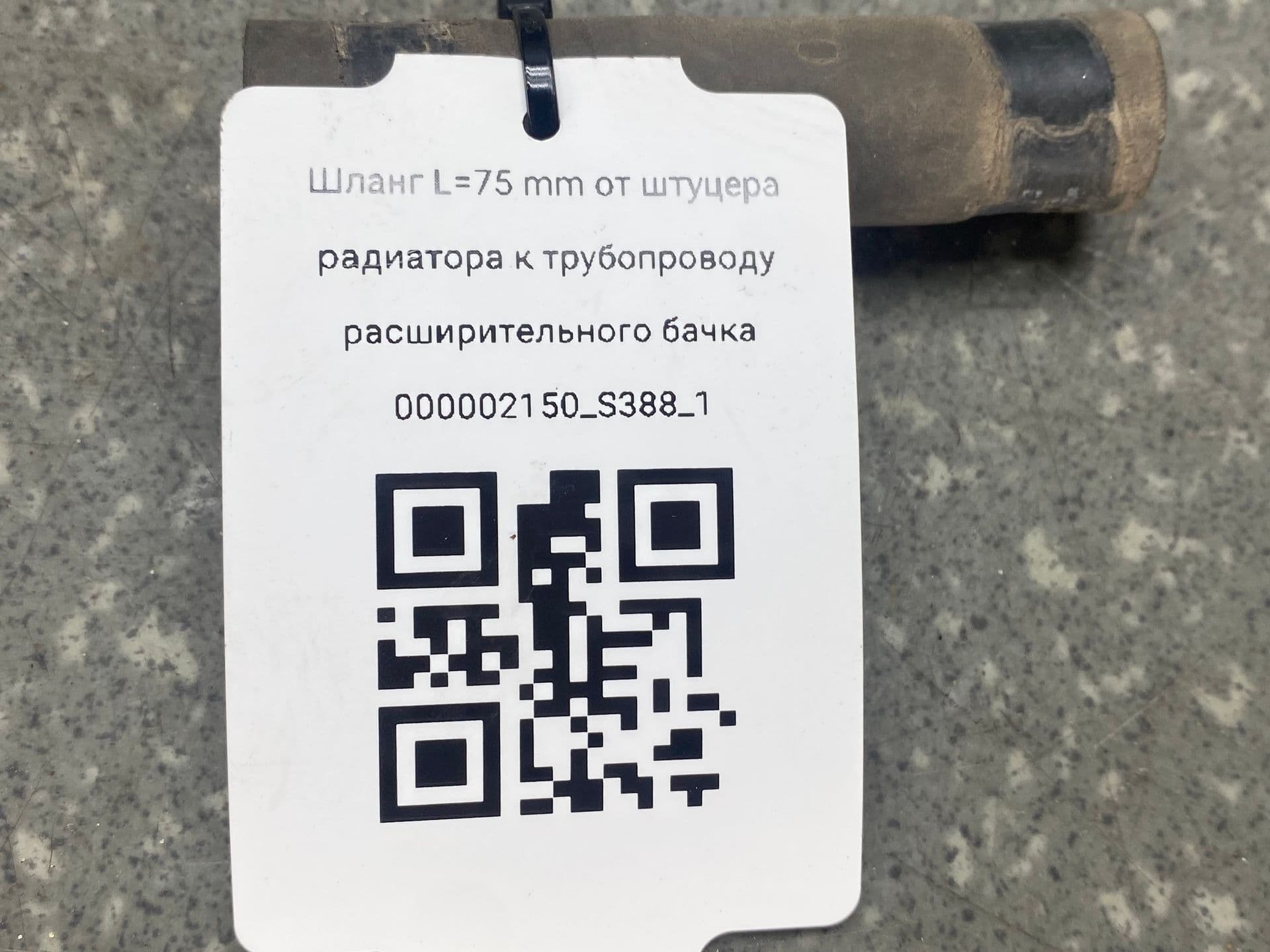 photo-2