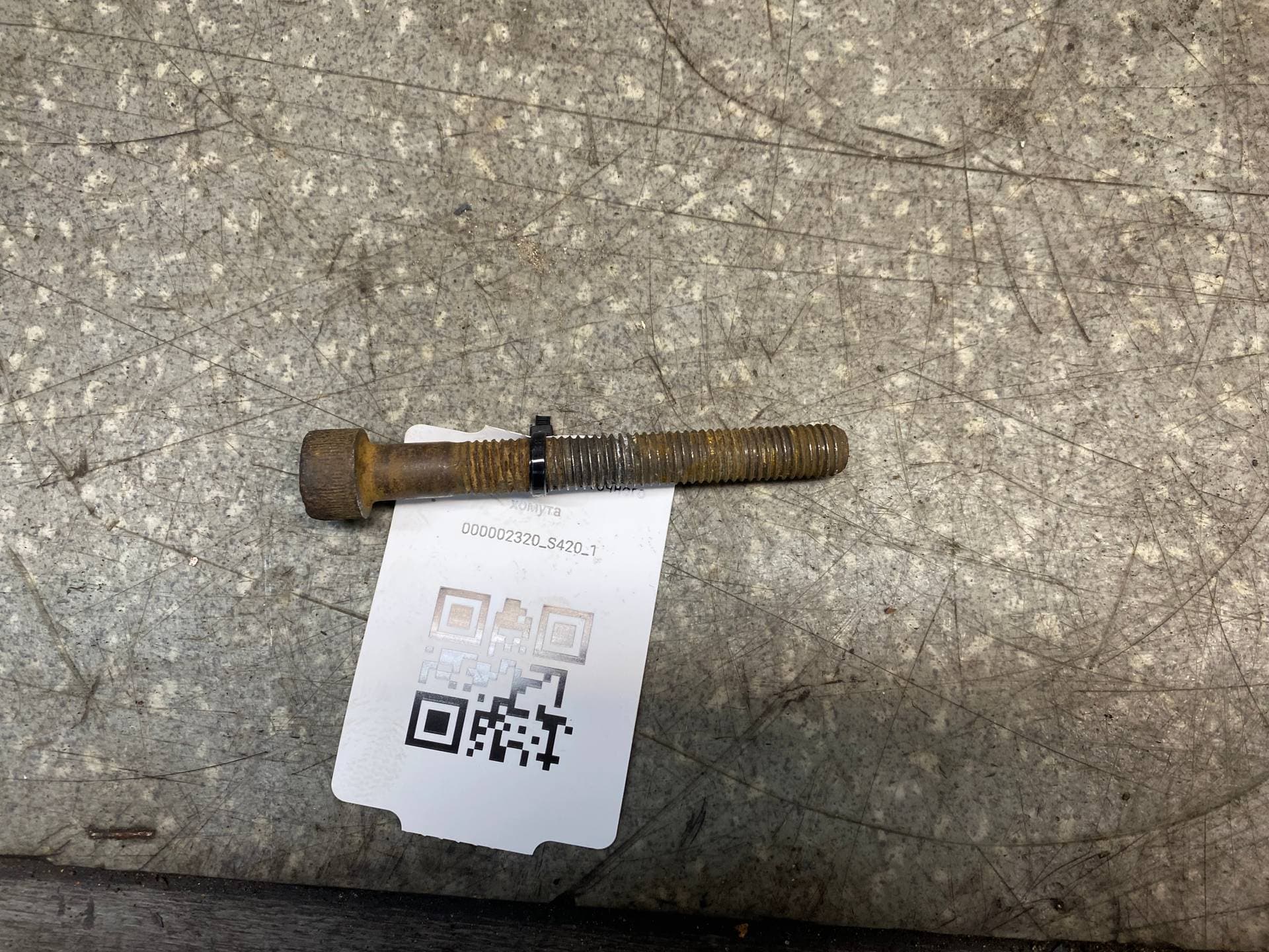 photo-1