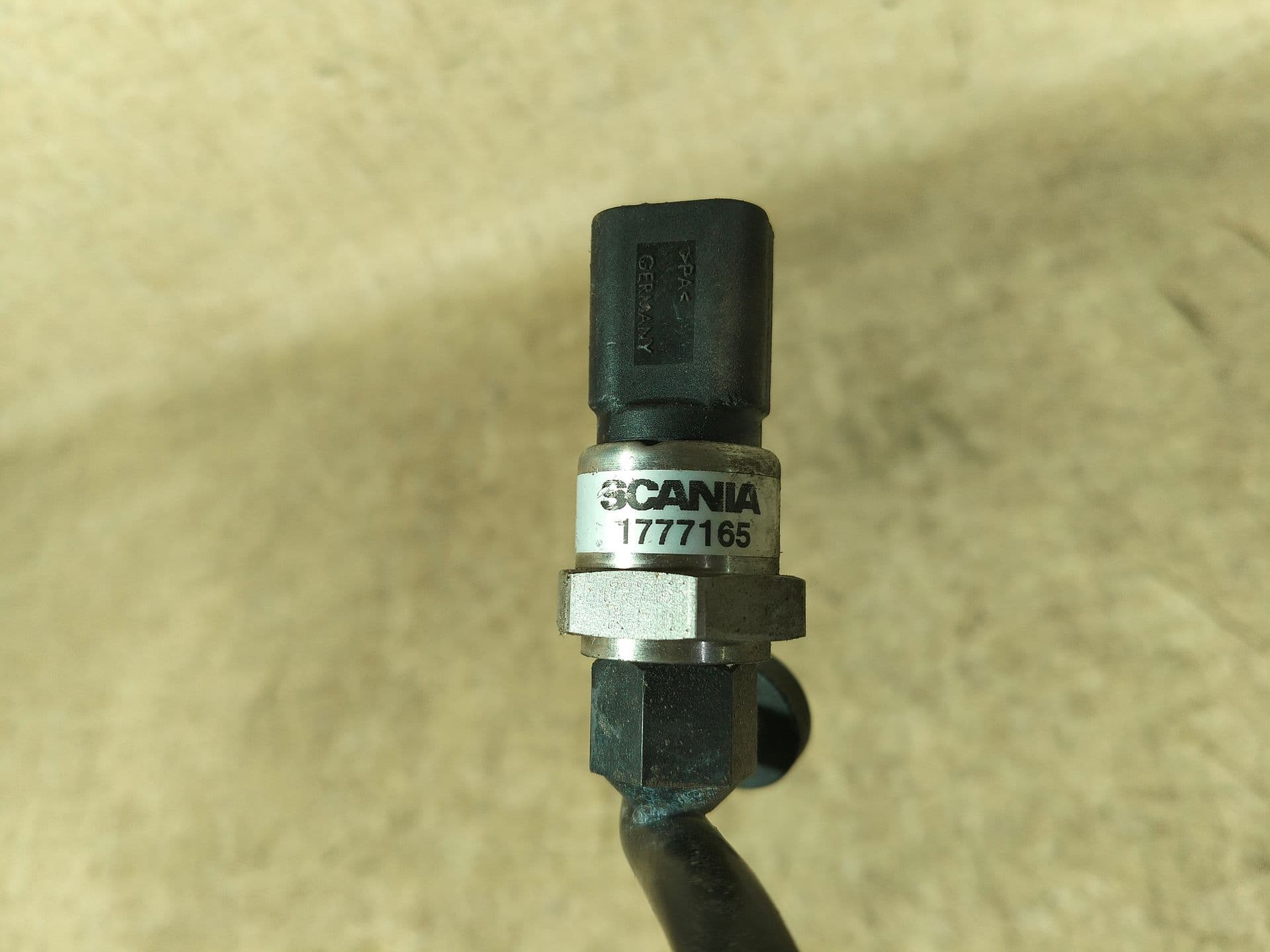 photo-3