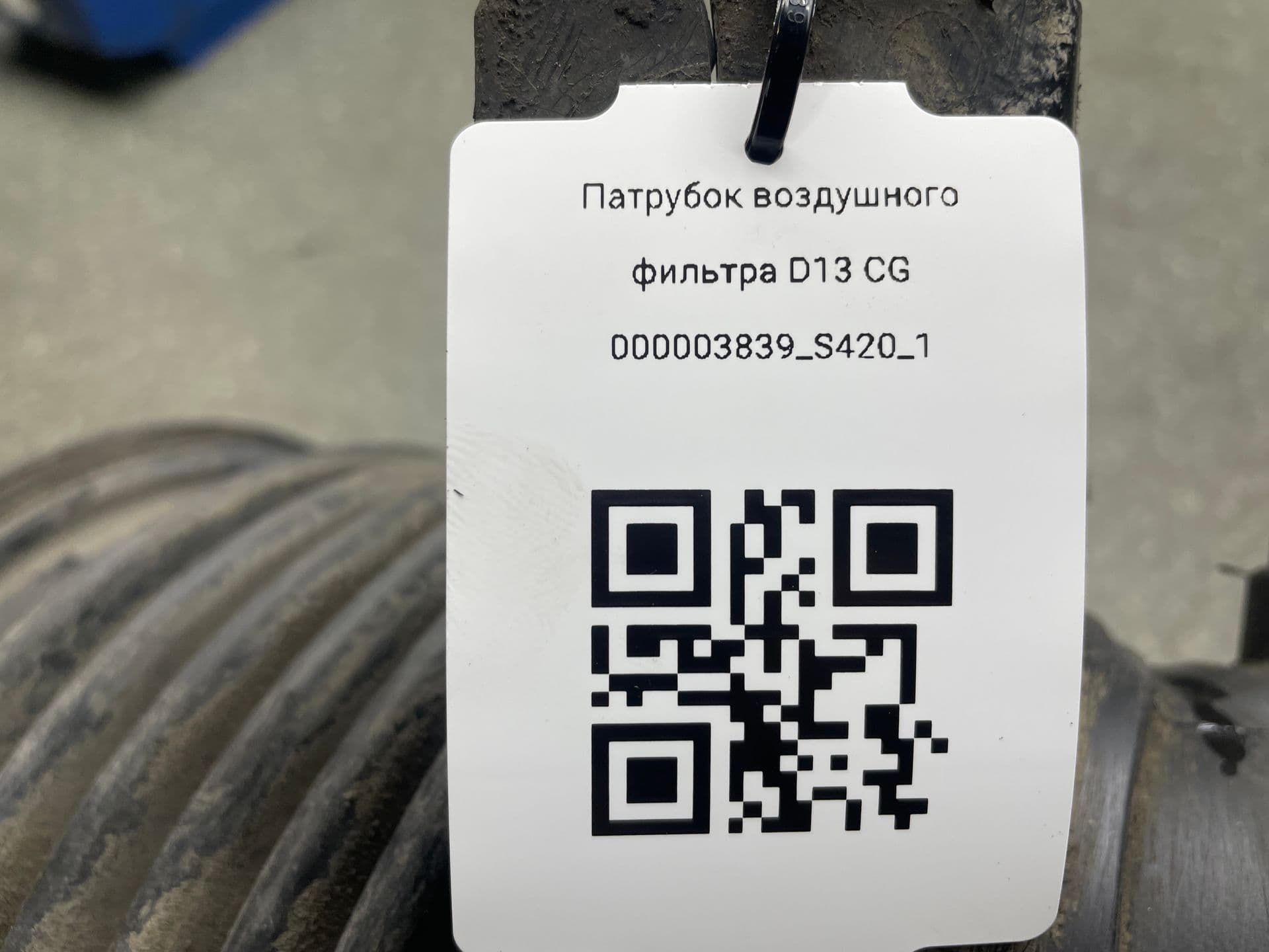photo-3